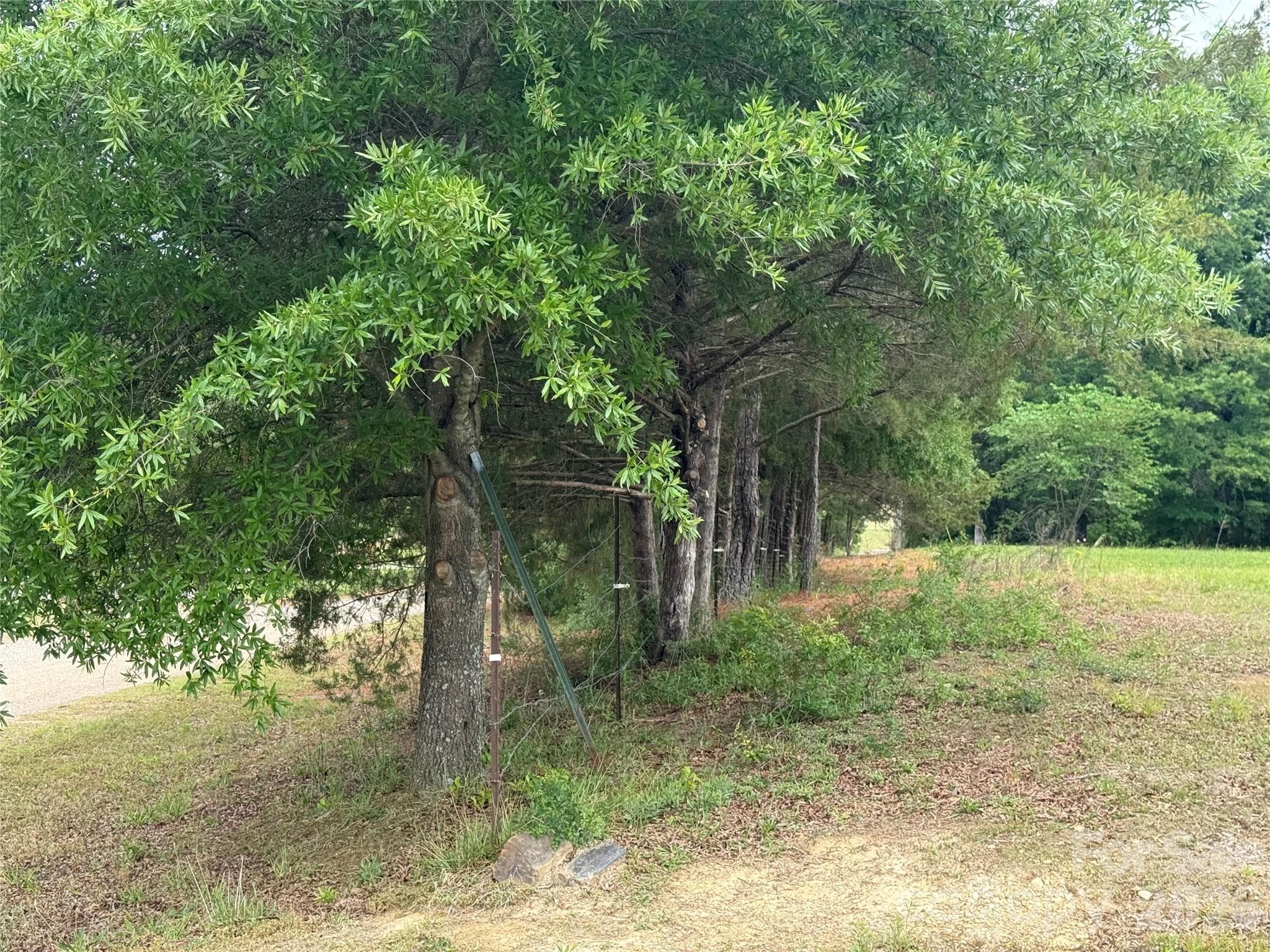 Tree line is the road frontage. - 6713 Rebel Road, Marshville