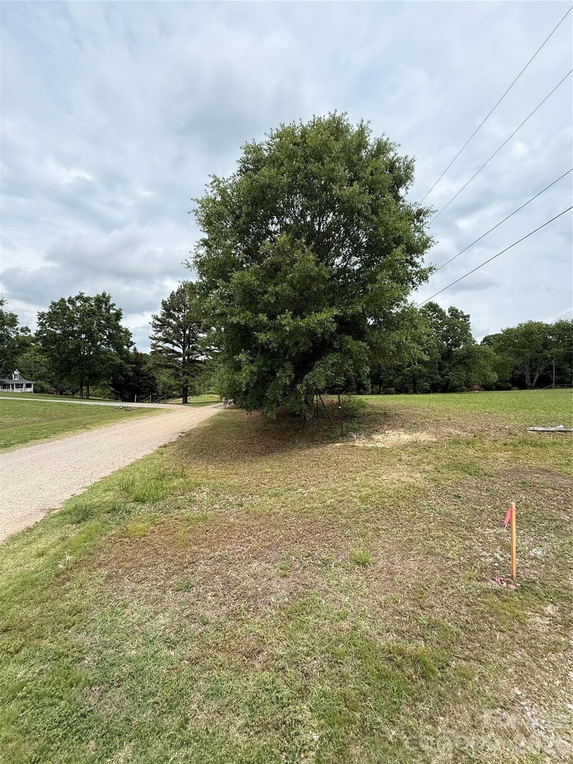 The stake all the way down the tree line is the road frontage. To the right is the open, cleared lot. - 6713 Rebel Road, Marshville