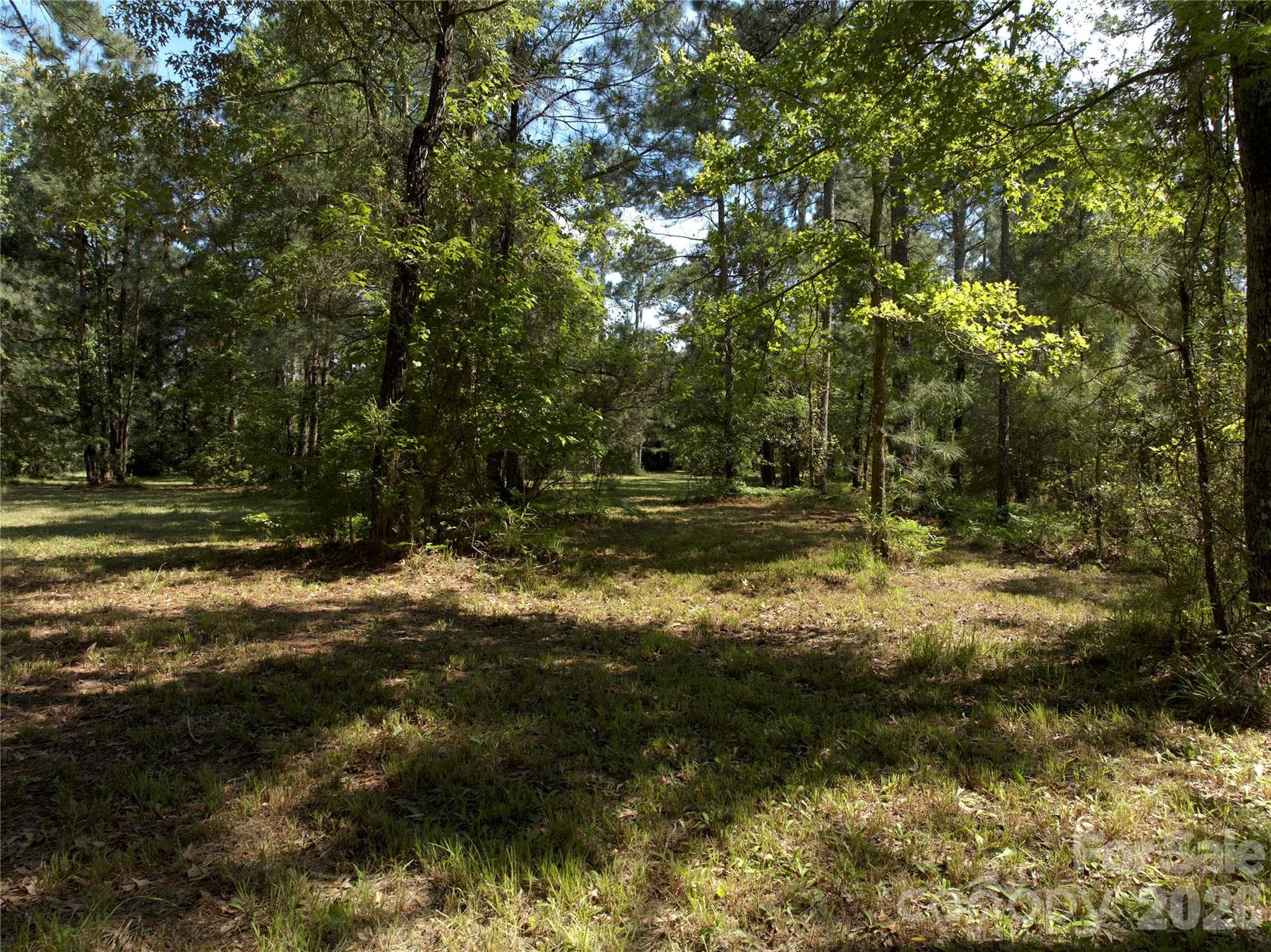 Lot at Belhaven, photo 6 of 8