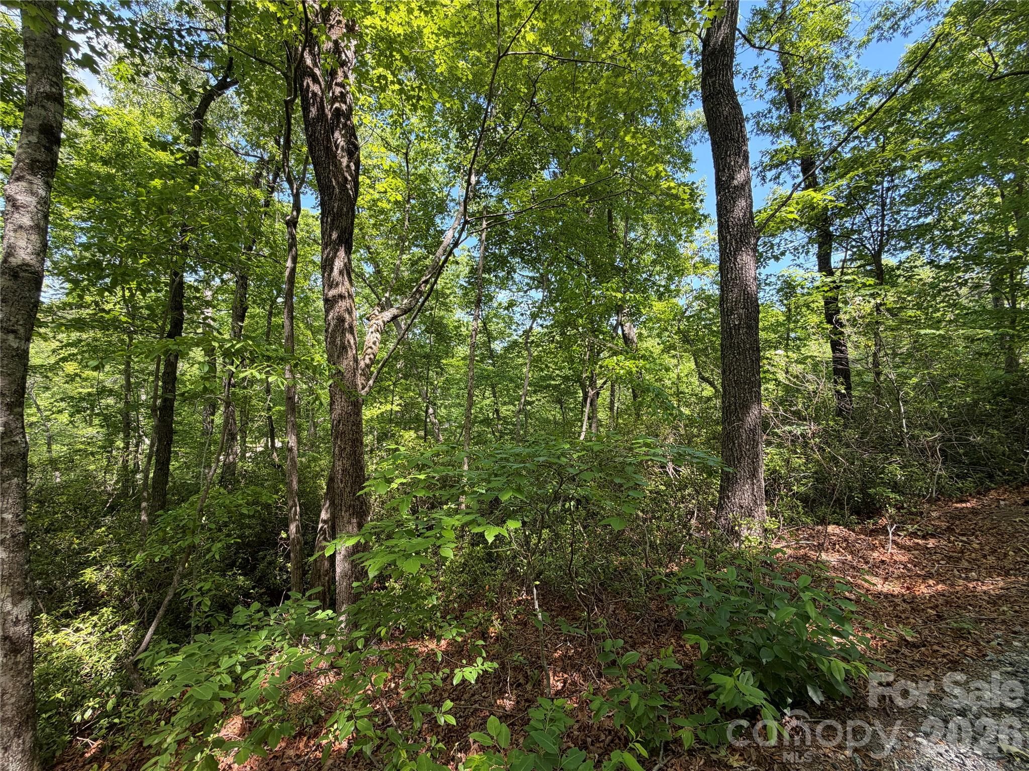 Lot at Lake Lure, photo 3 of 11