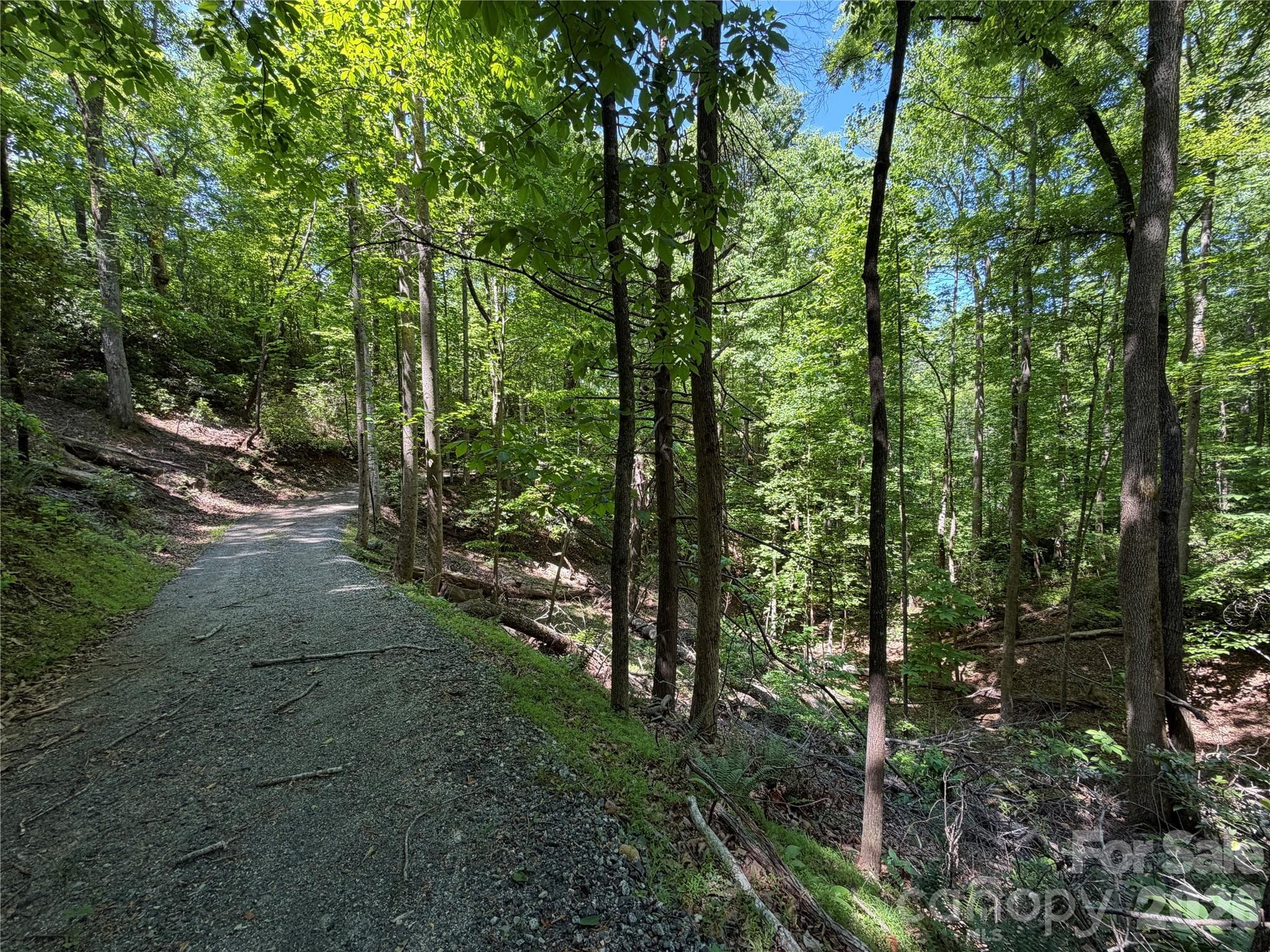 Lot at Lake Lure, photo 9 of 11