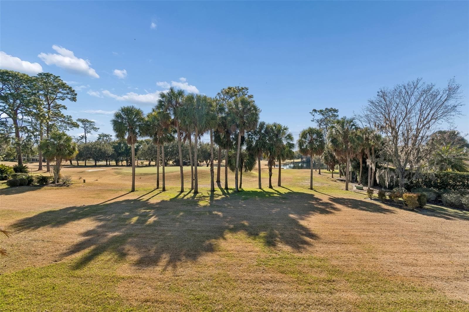 Single Family Residence at 29244 WHIPPORWILL LN, WESLEY CHAPEL, photo 32 of 43