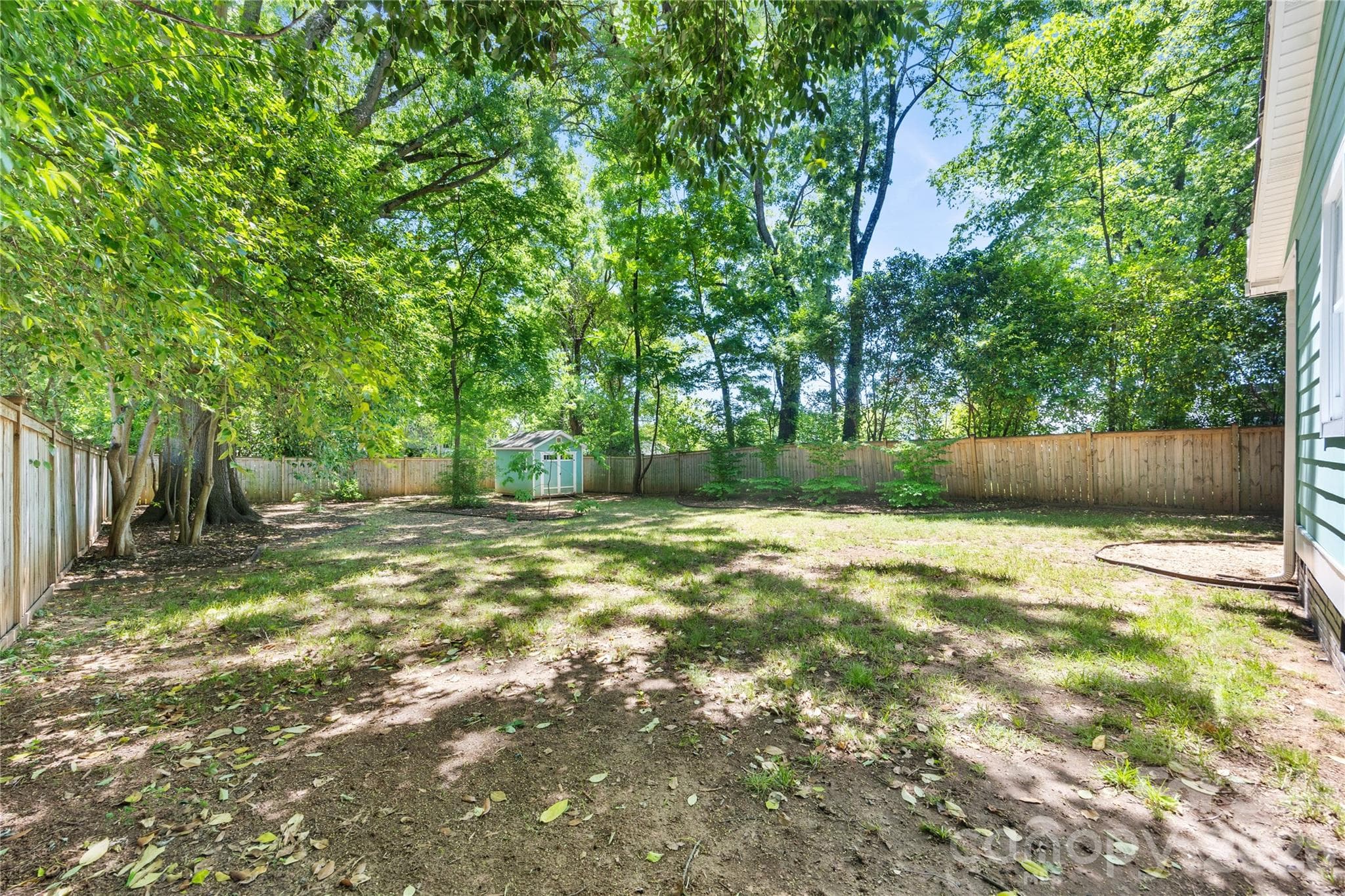 Look at this large backyard!!! - Charlotte