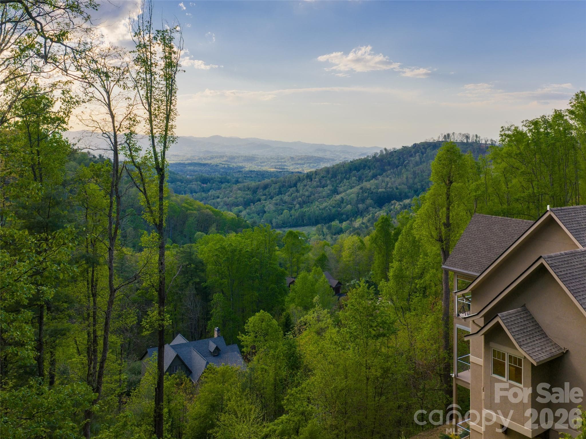 Western facing views of the layered mountain in to Tennessee. - Asheville