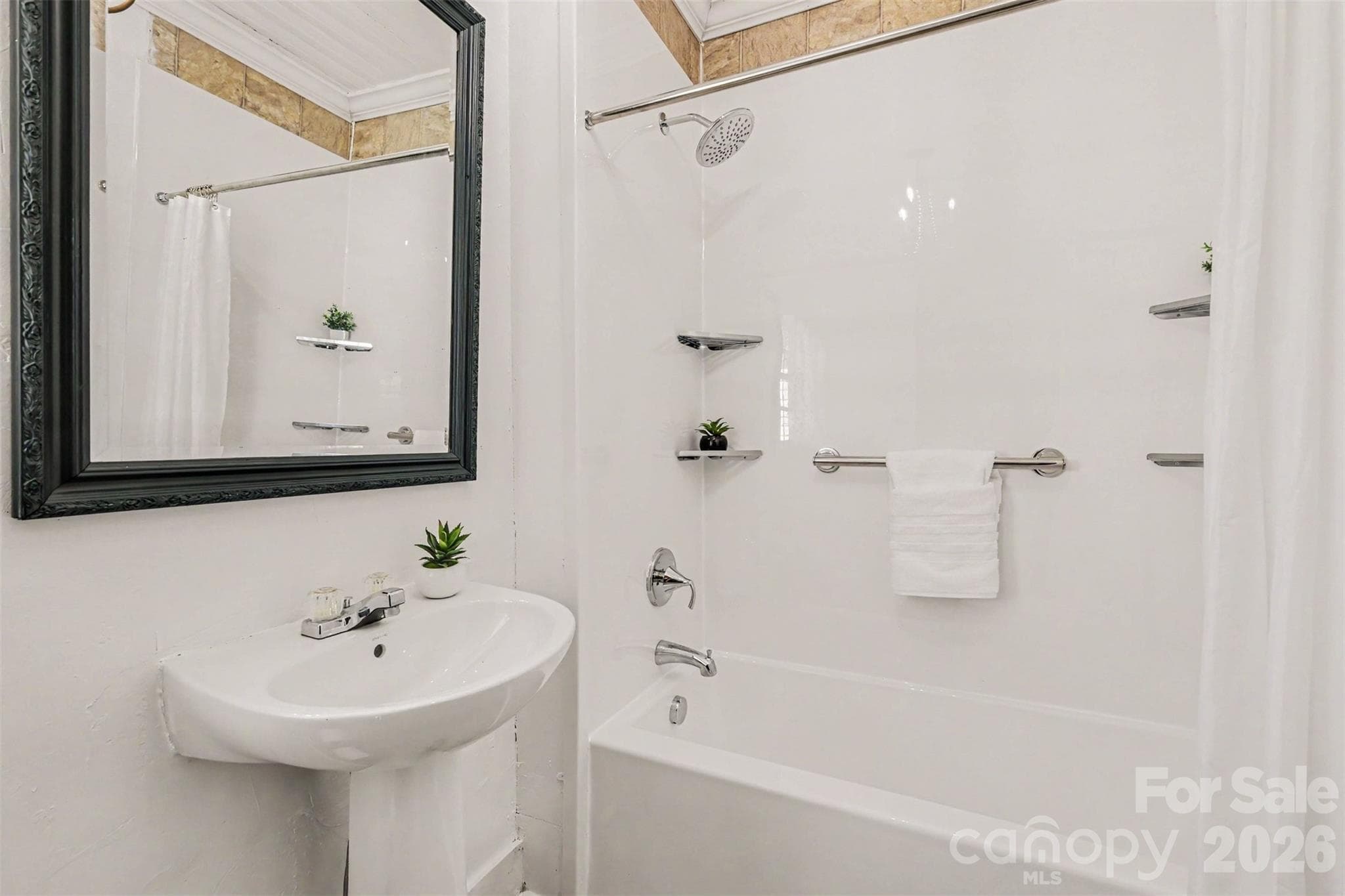 Primary ensuite - 107 Hinton Street, Chester