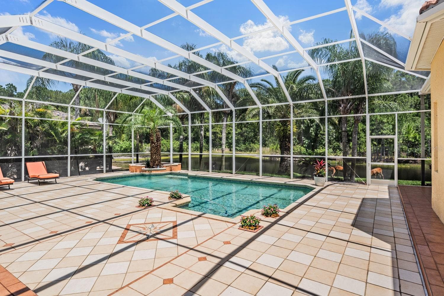Single Family Residence at 4561 ROANOAK WAY, PALM HARBOR, photo 56 of 81
