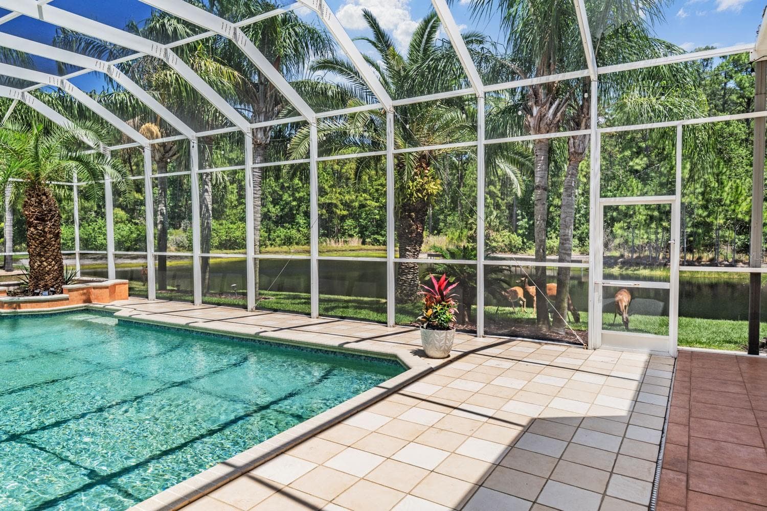 Single Family Residence at 4561 ROANOAK WAY, PALM HARBOR, photo 57 of 81