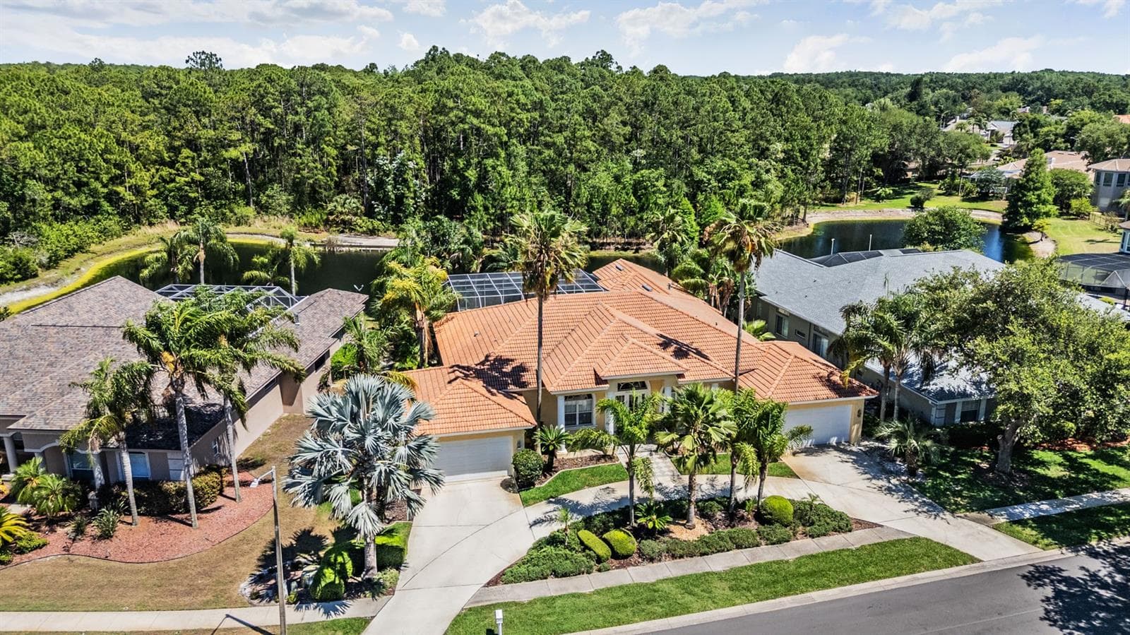 Single Family Residence at 4561 ROANOAK WAY, PALM HARBOR, photo 67 of 81