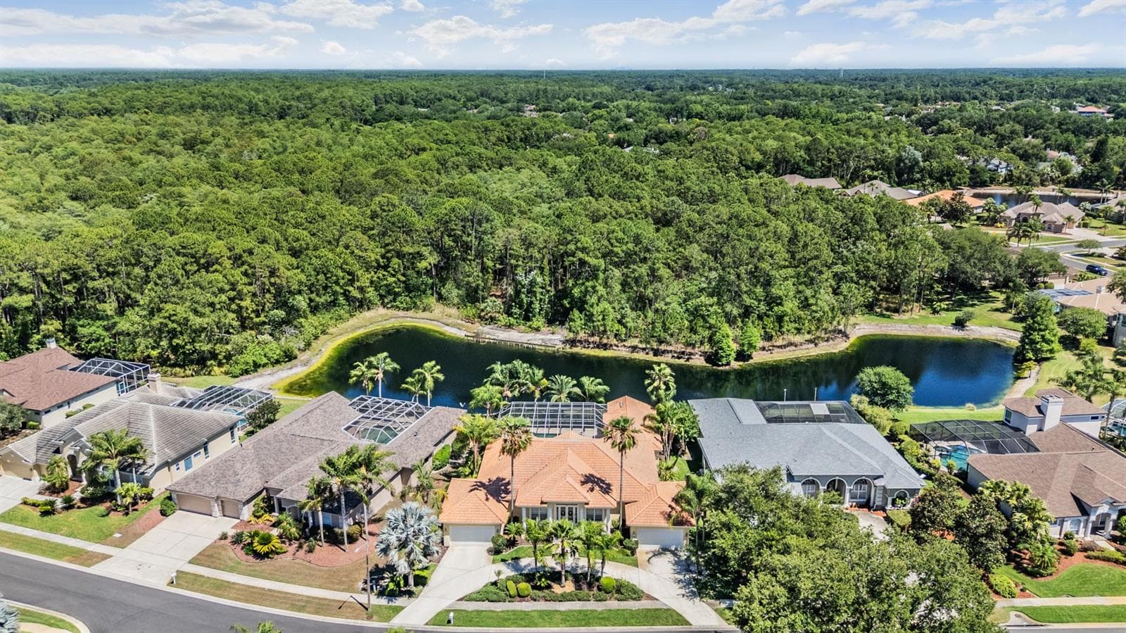 Single Family Residence at 4561 ROANOAK WAY, PALM HARBOR, photo 66 of 81