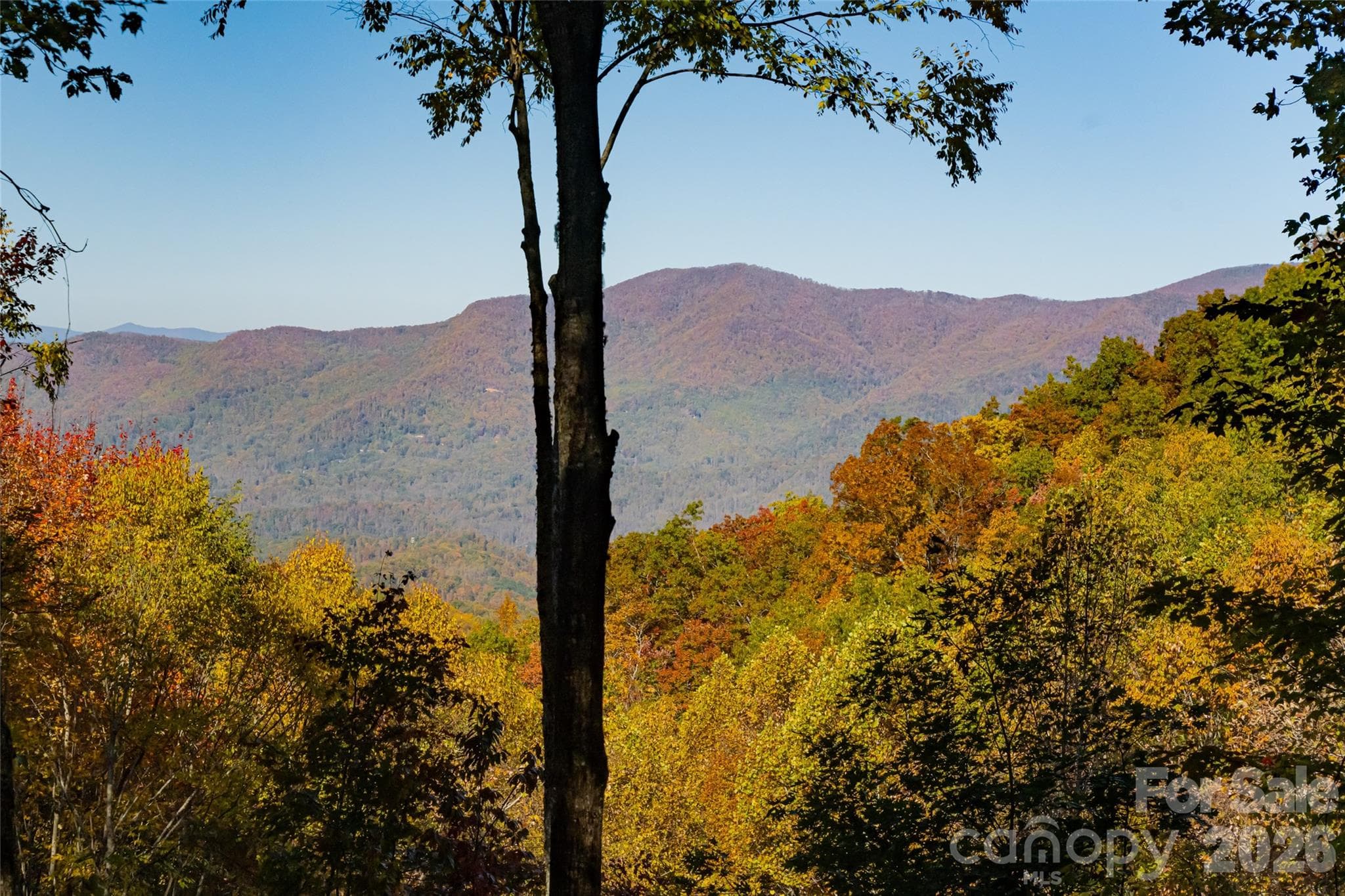 Single Family Residence at Sylva, photo 35 of 46