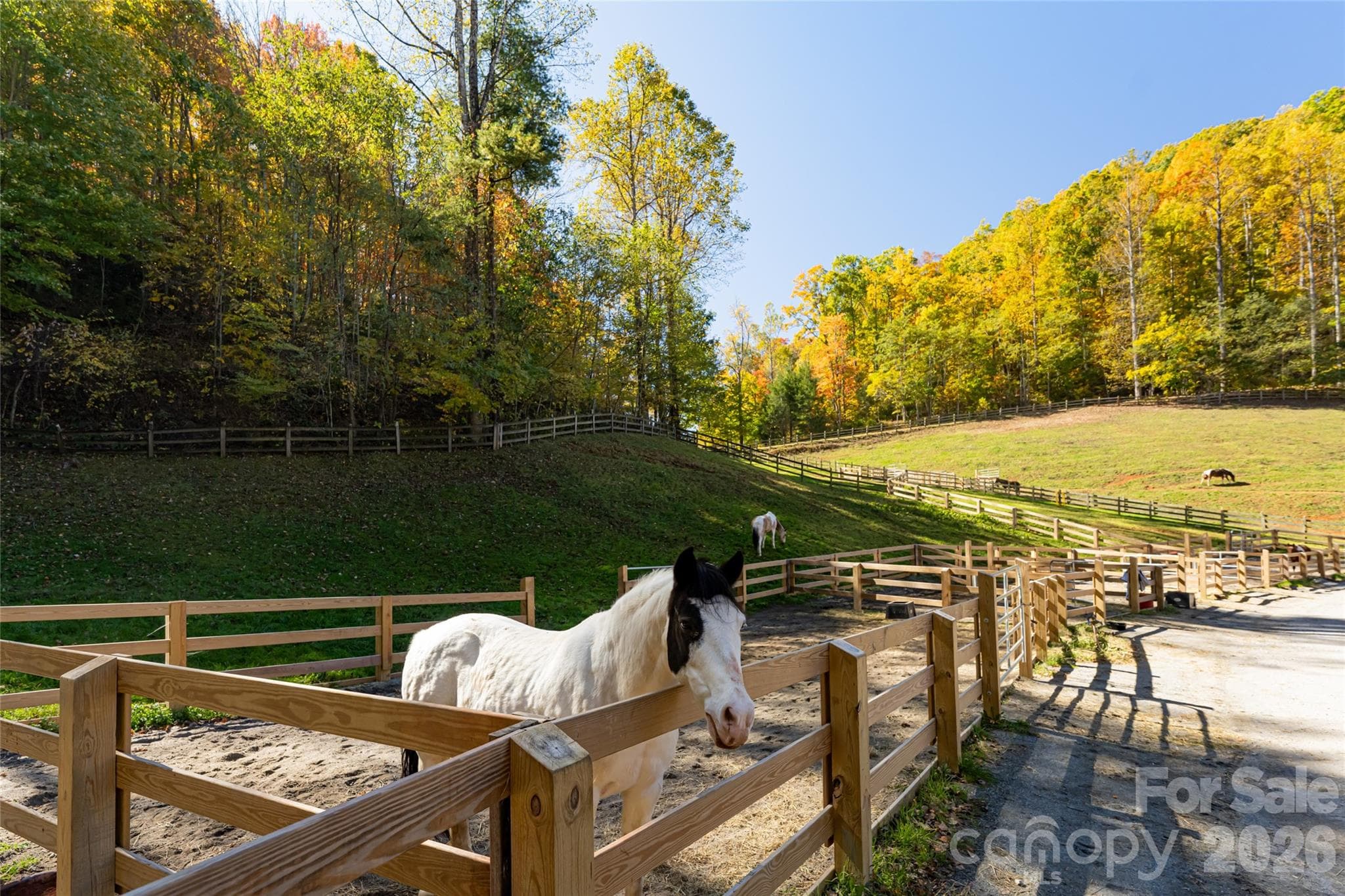 Single Family Residence at Sylva, photo 44 of 46