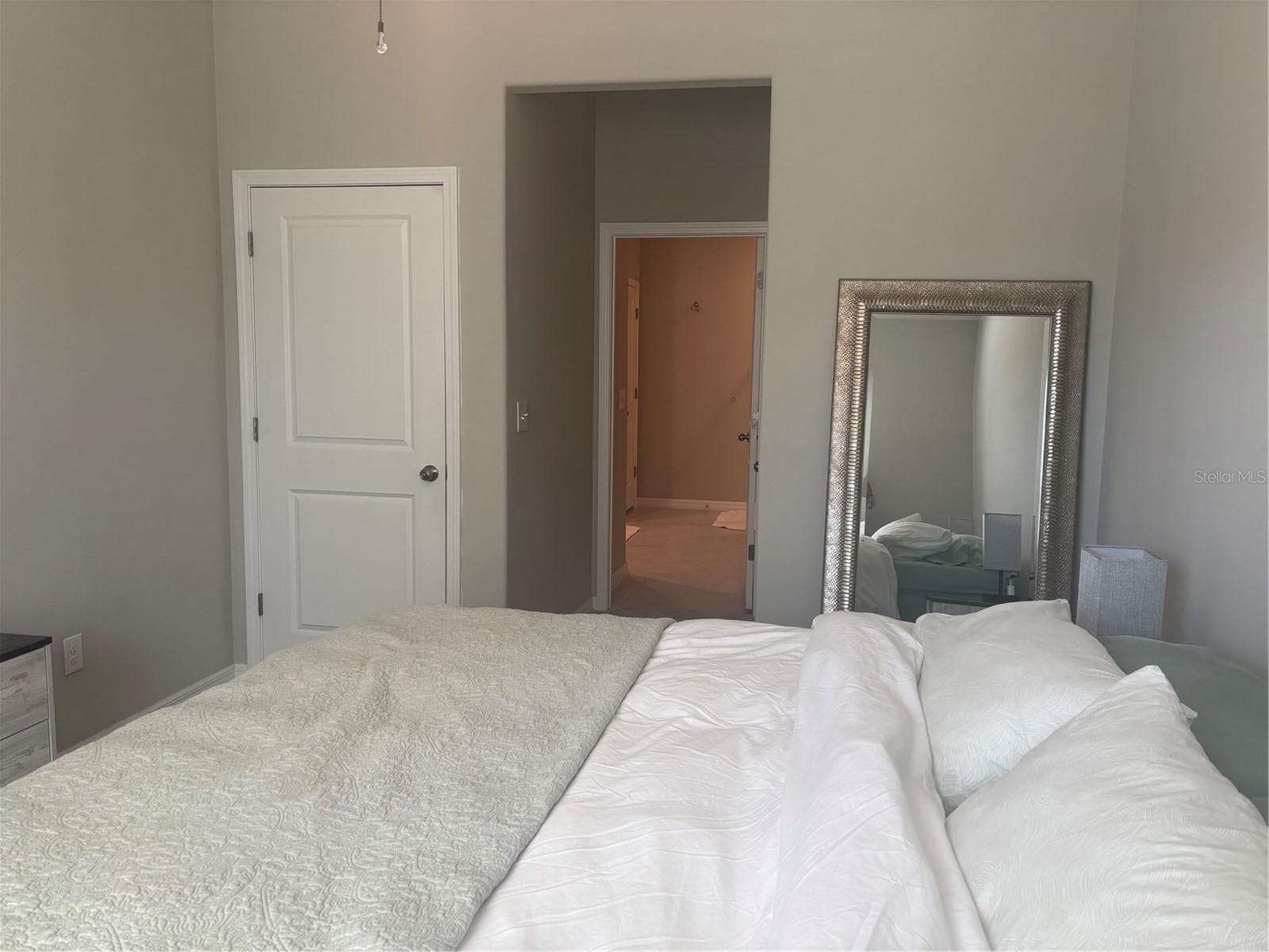 view into the primary bathroom suite. - 9601 FLOURISH DR, LAND O LAKES