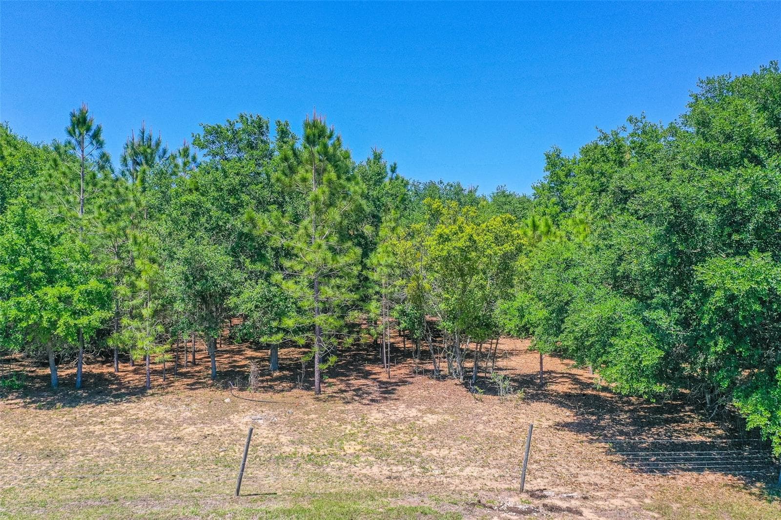 Mobile Home at 107 EDGEWOOD BLVD, LAKE WALES, photo 31 of 38