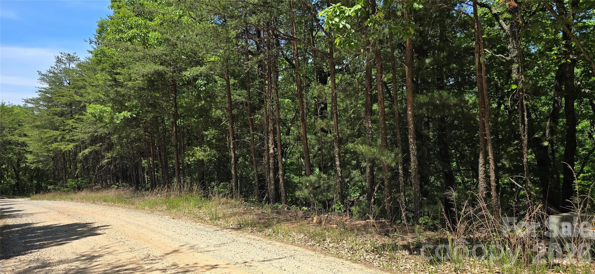 front of road frontage facing north - Lot 22B Pinnacle Parkway, Union Mills
