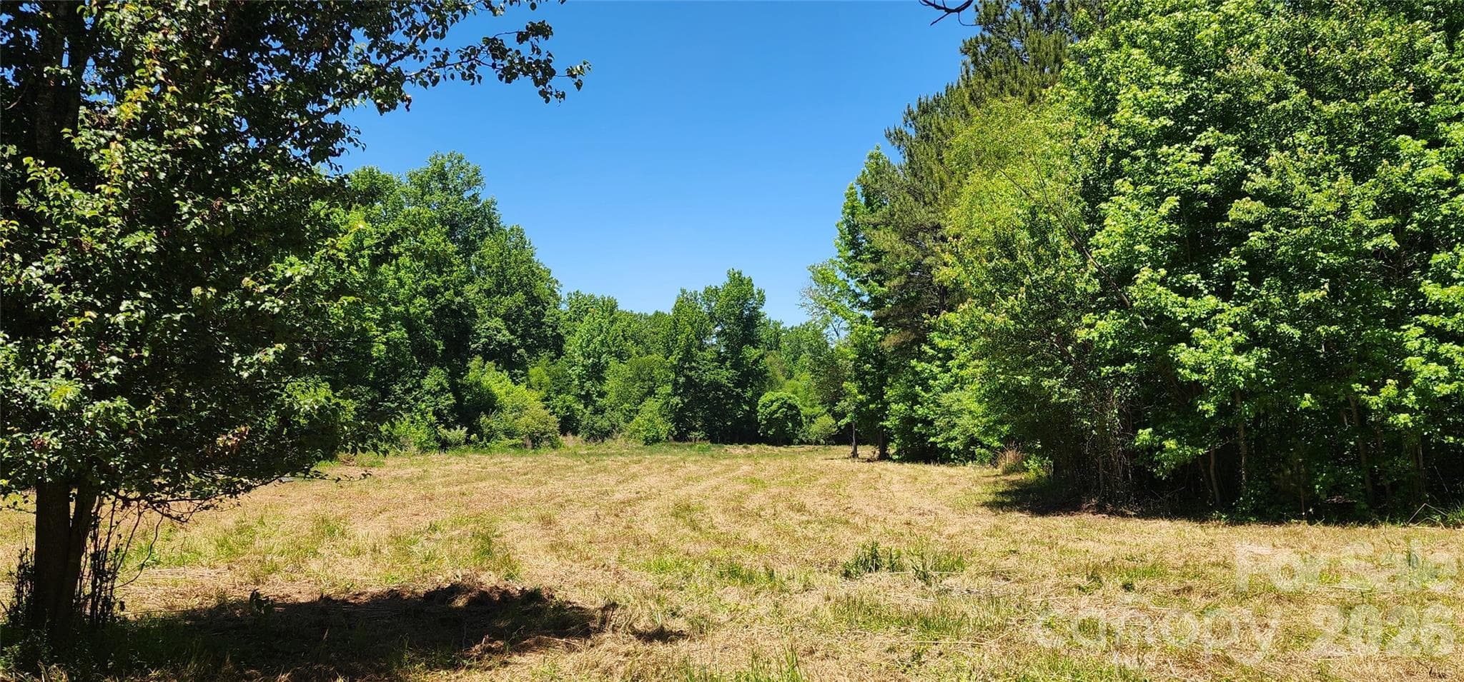 Lot at 480 Brown Road, Spartanburg, photo 14 of 48