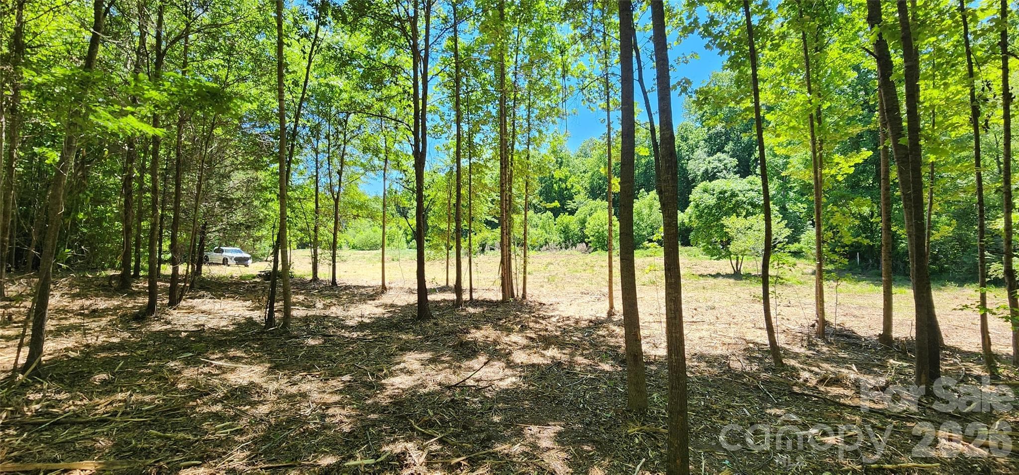 Lot at 480 Brown Road, Spartanburg, photo 17 of 48