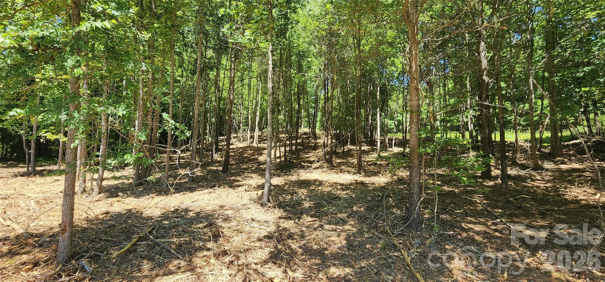 Lot at 480 Brown Road, Spartanburg, photo 22 of 48