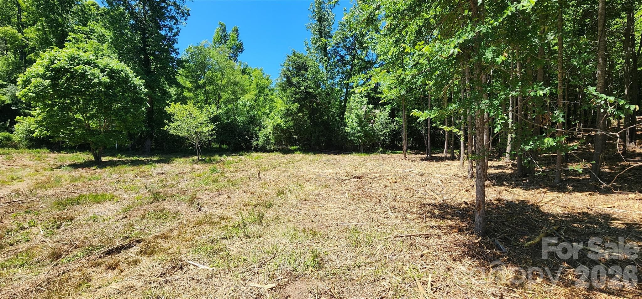 Lot at 480 Brown Road, Spartanburg, photo 23 of 48