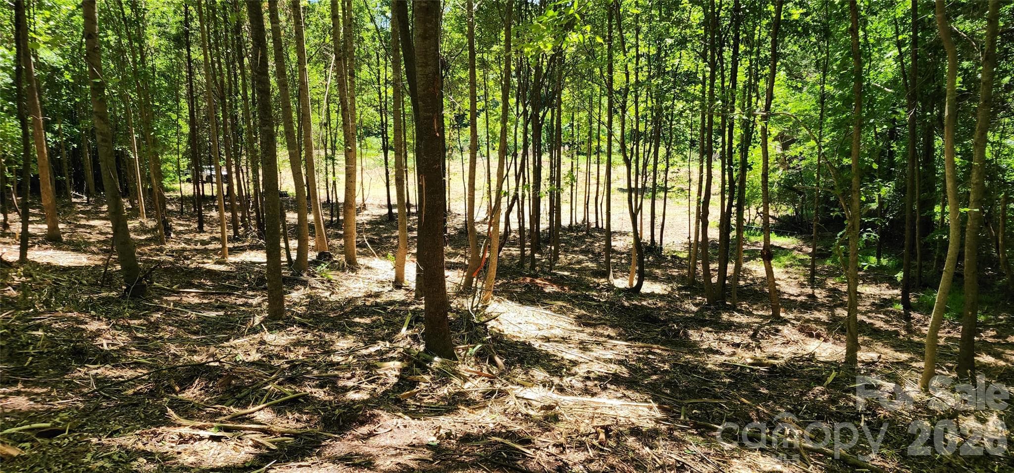 Lot at 480 Brown Road, Spartanburg, photo 25 of 48