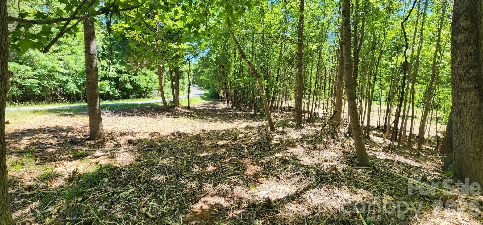 Lot at 480 Brown Road, Spartanburg, photo 26 of 48