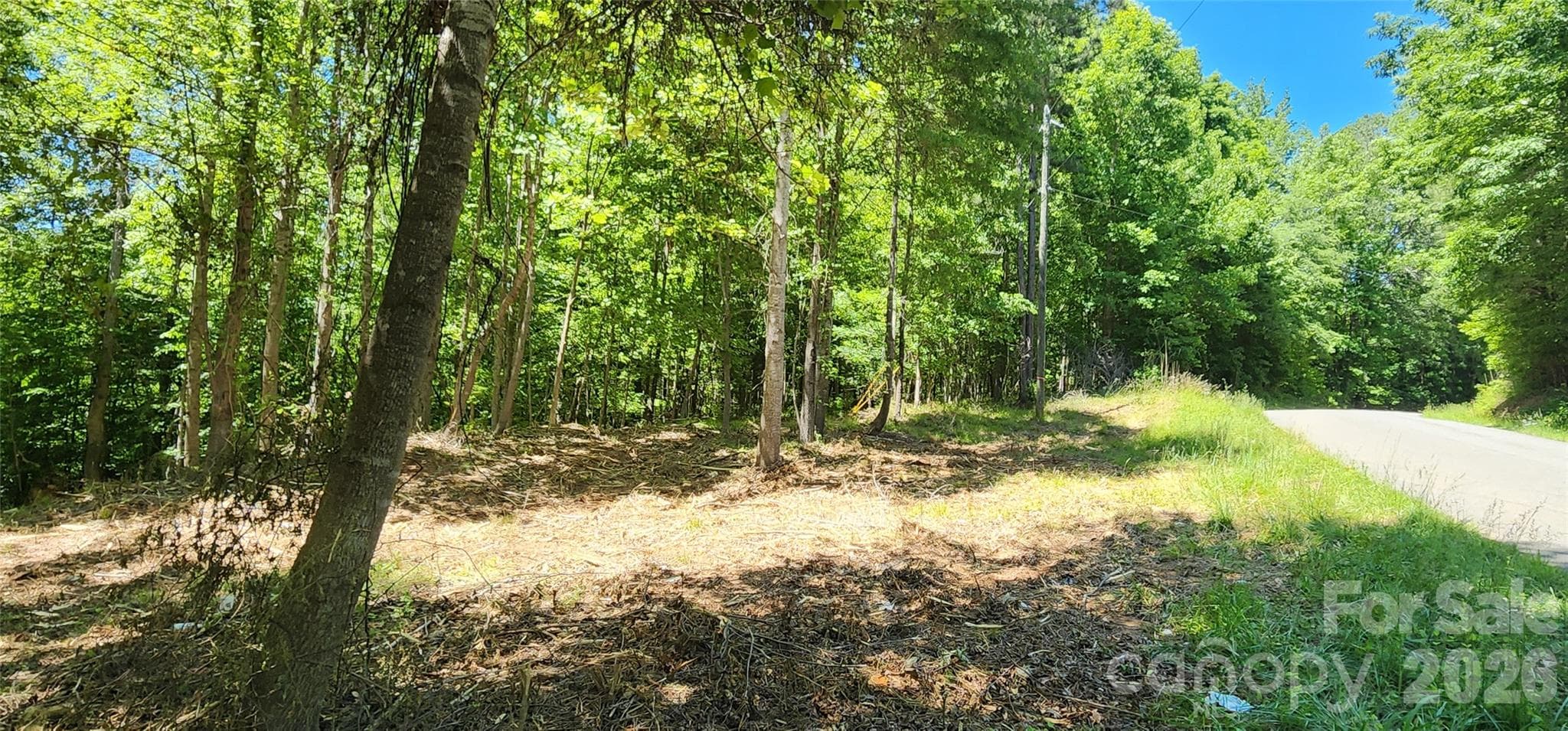 Lot at 480 Brown Road, Spartanburg, photo 30 of 48