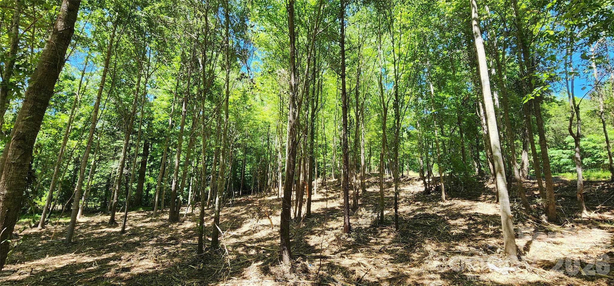 Lot at 480 Brown Road, Spartanburg, photo 32 of 48