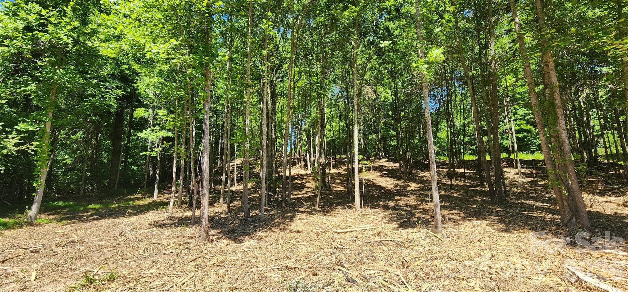 Lot at 480 Brown Road, Spartanburg, photo 33 of 48