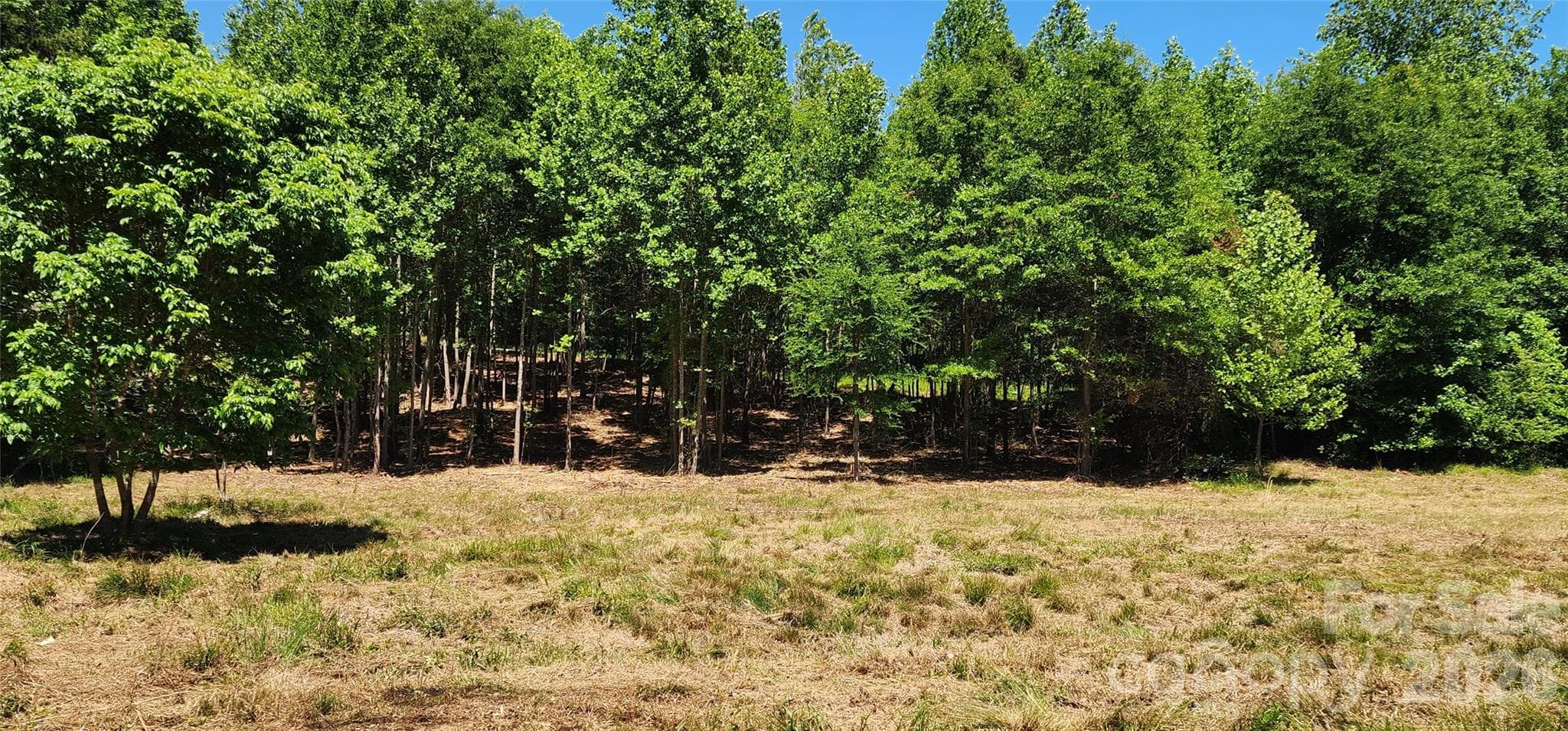 Lot at 480 Brown Road, Spartanburg, photo 35 of 48