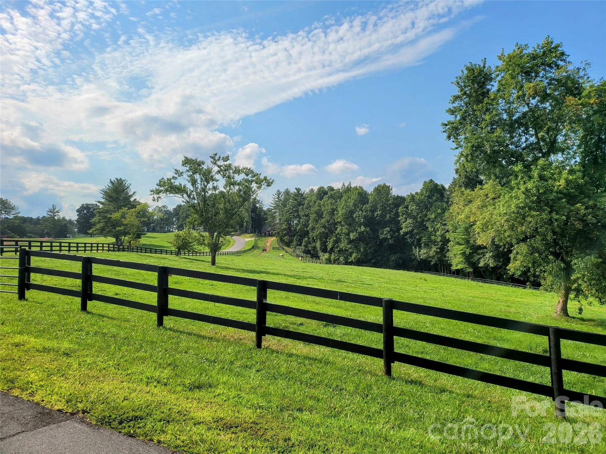 Beautiful drive to property - Lenoir