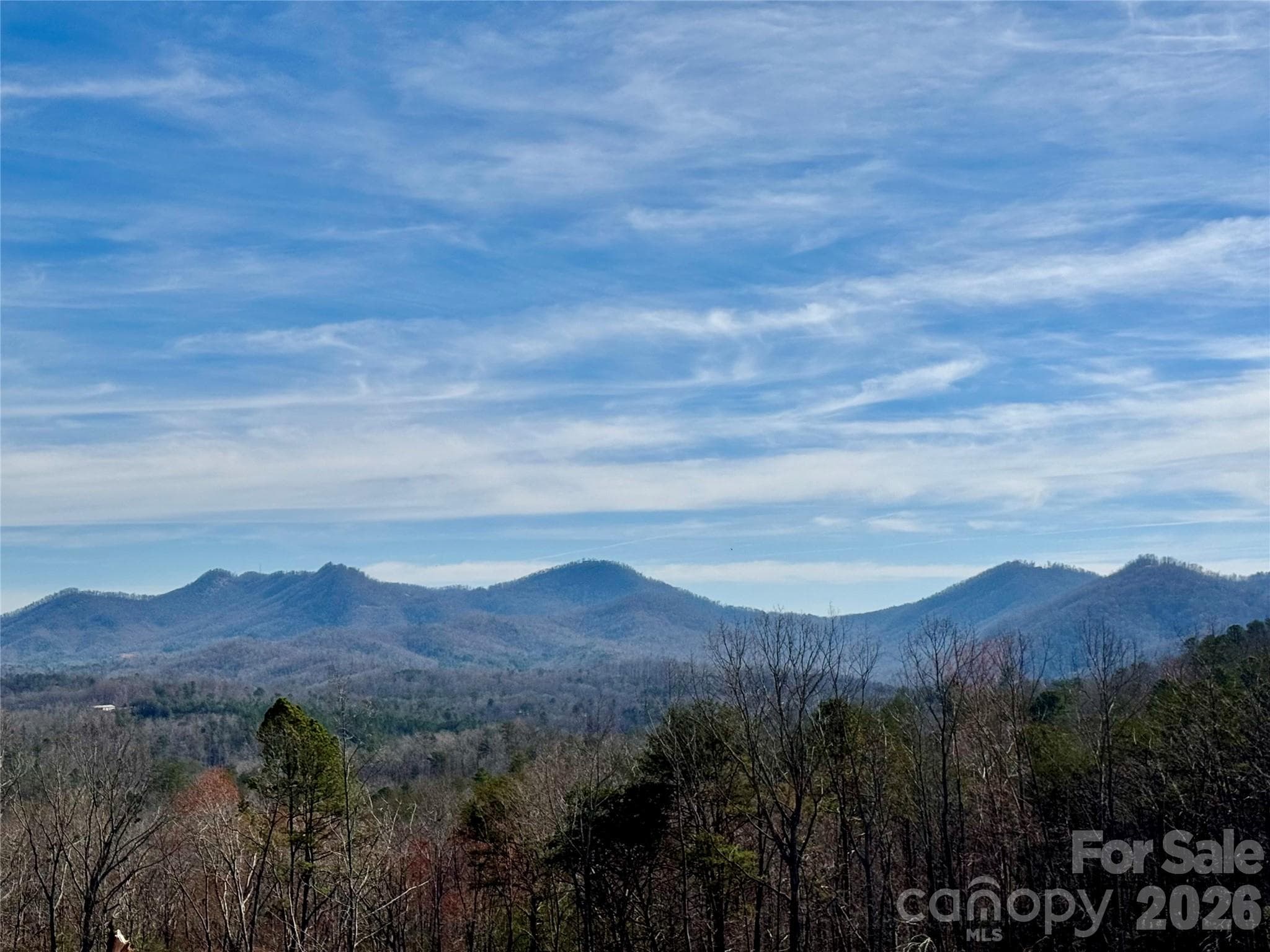 Views from property - Lake Lure