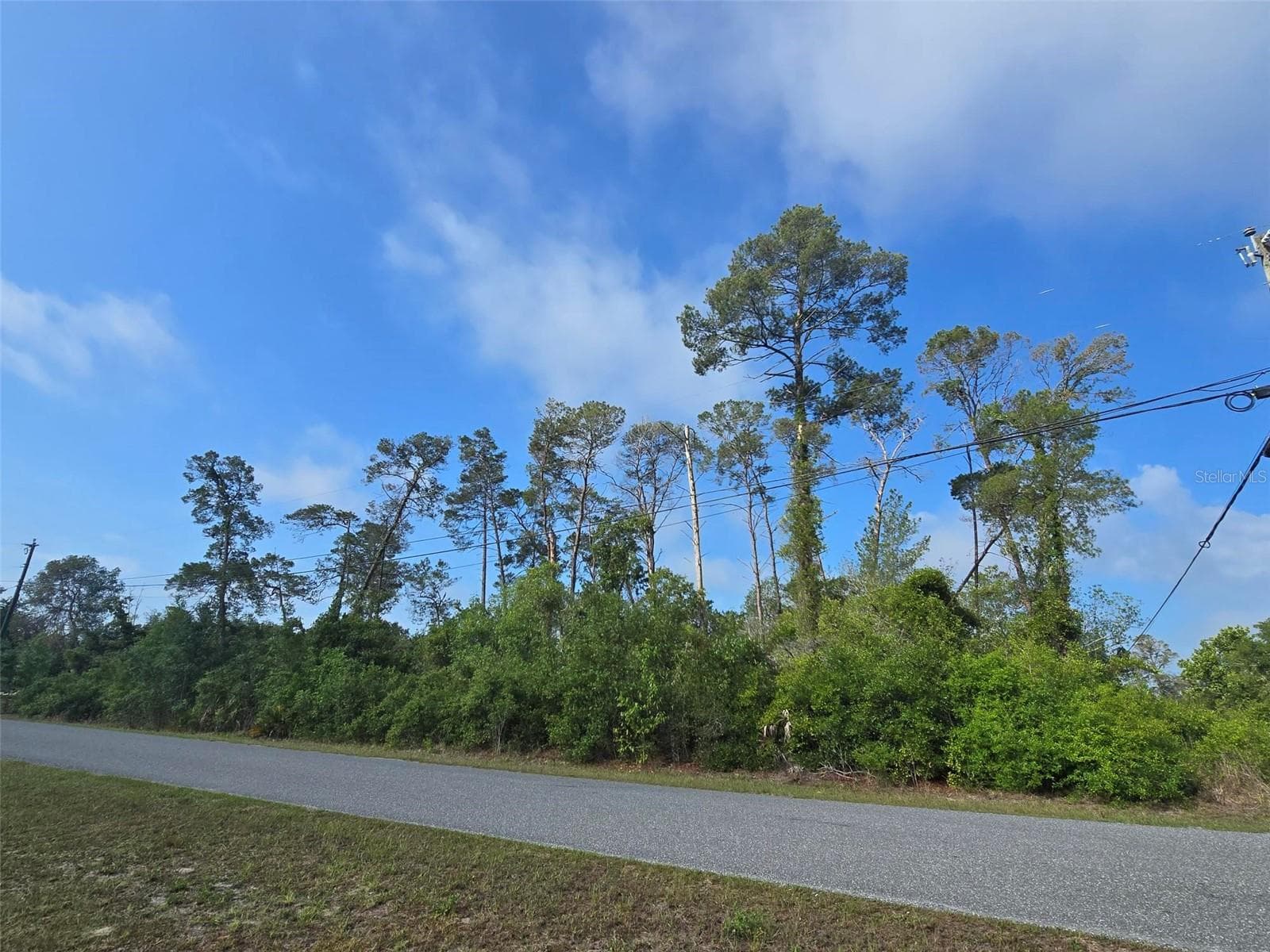 Land at 10044 NODDY TERN RD, WEEKI WACHEE, photo 3 of 4