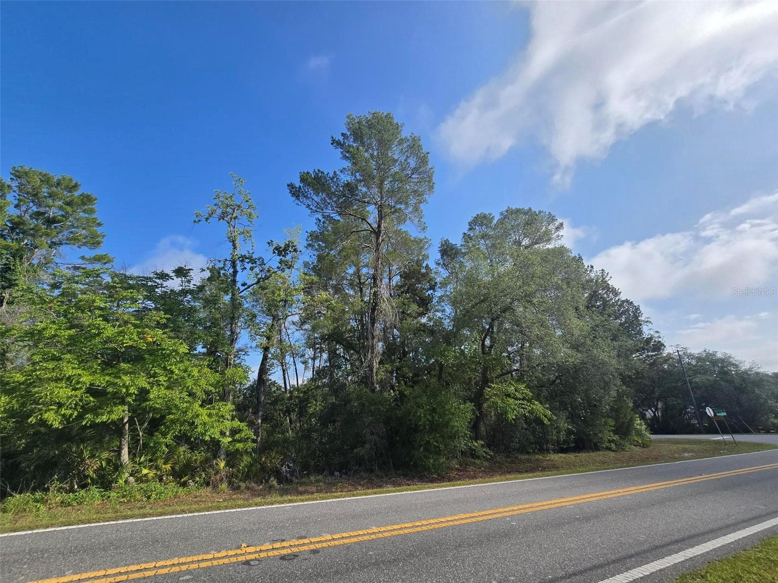 Land at 10185 NODDY TERN RD, WEEKI WACHEE, photo 4 of 5
