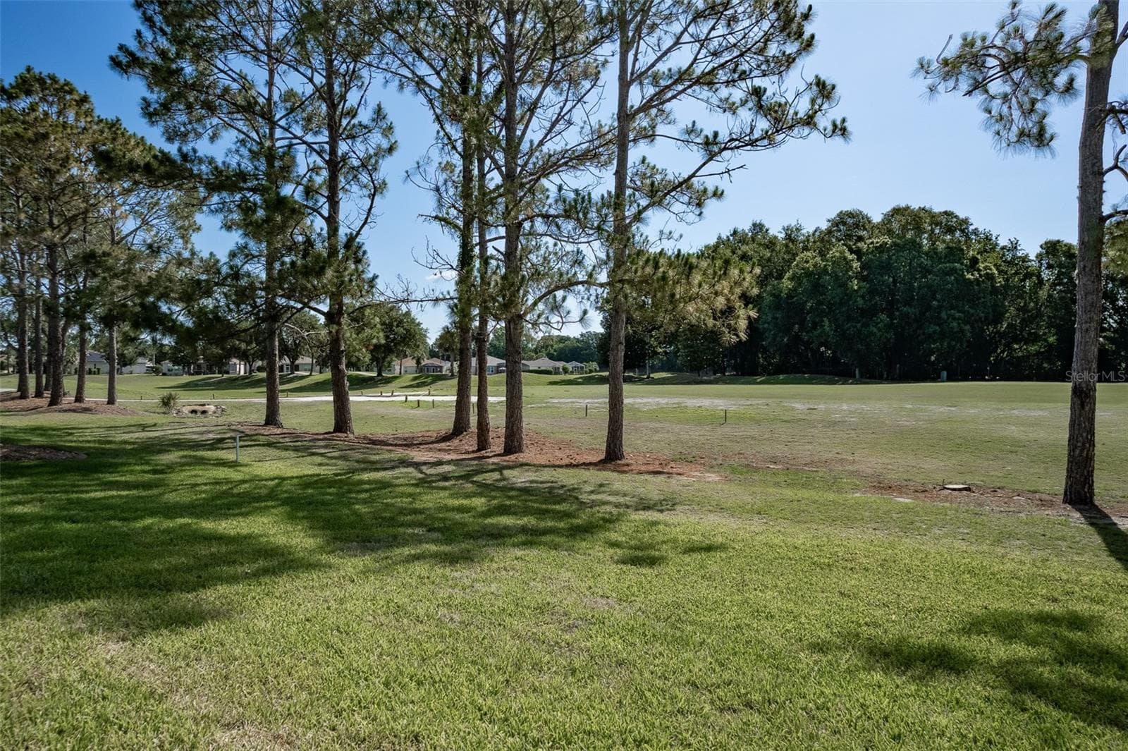 Single Family Residence at 16023 SW 14TH AVENUE RD, OCALA, photo 45 of 56