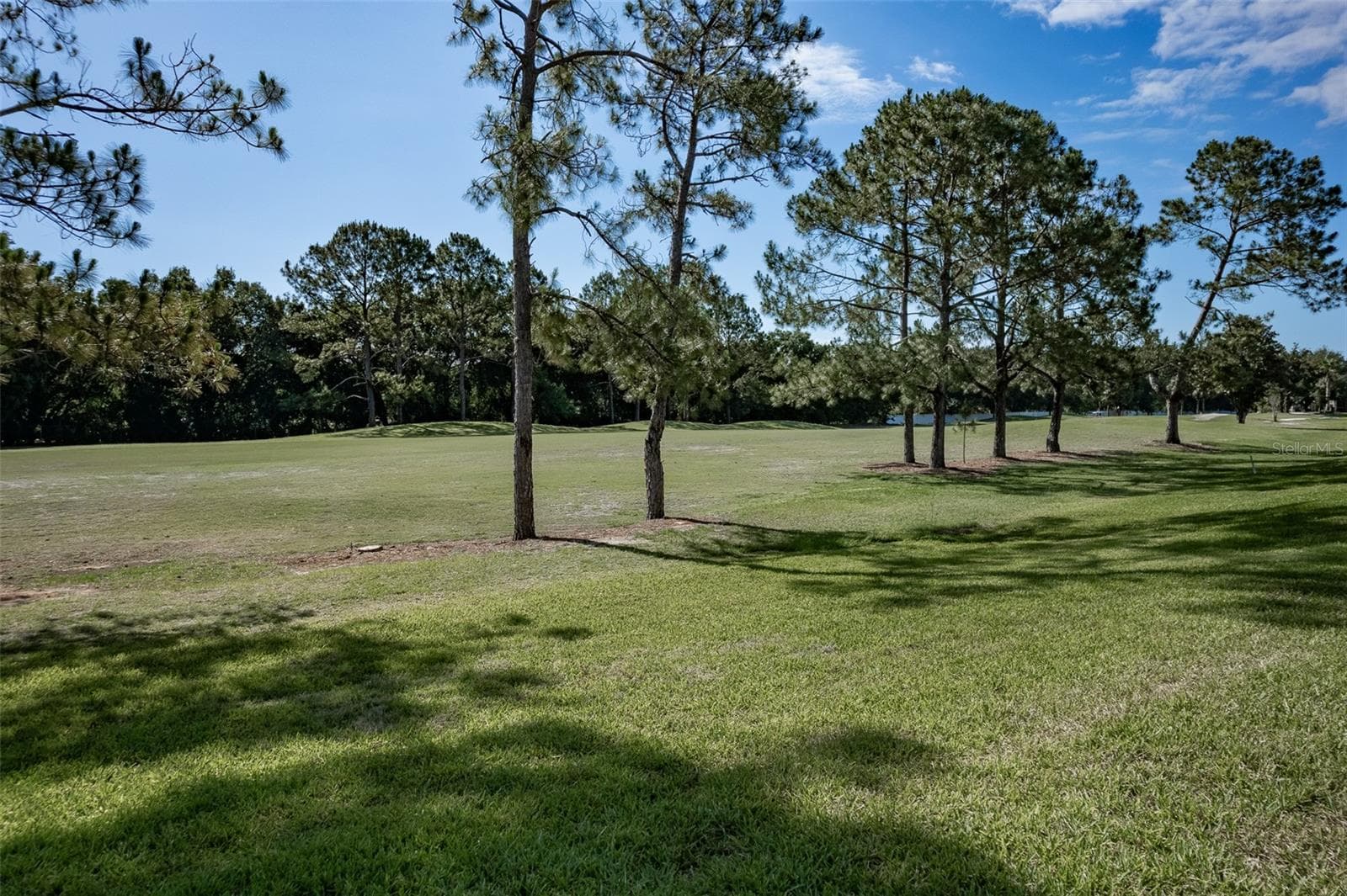 Single Family Residence at 16023 SW 14TH AVENUE RD, OCALA, photo 46 of 56
