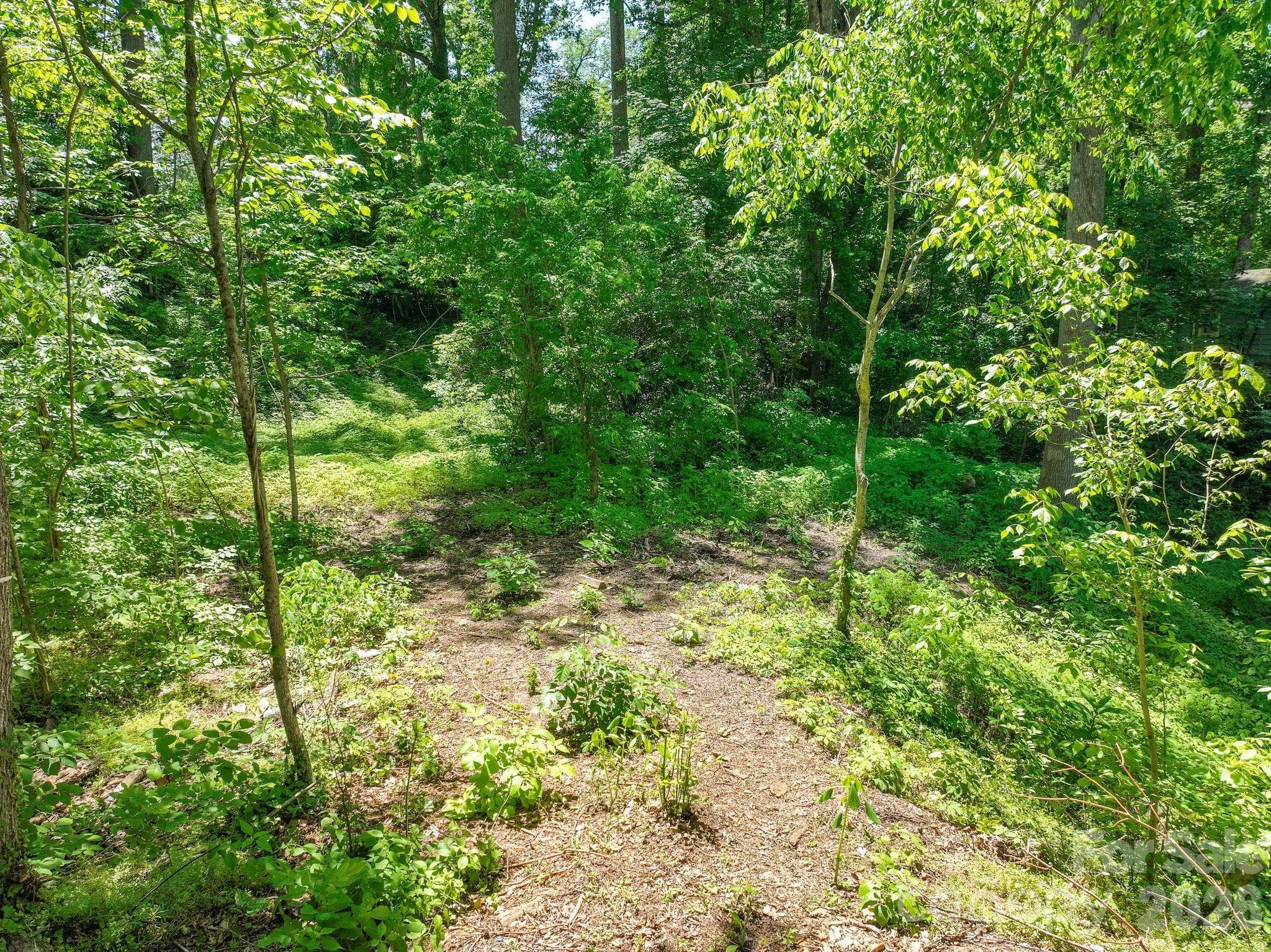 Lot at Asheville, photo 3 of 16
