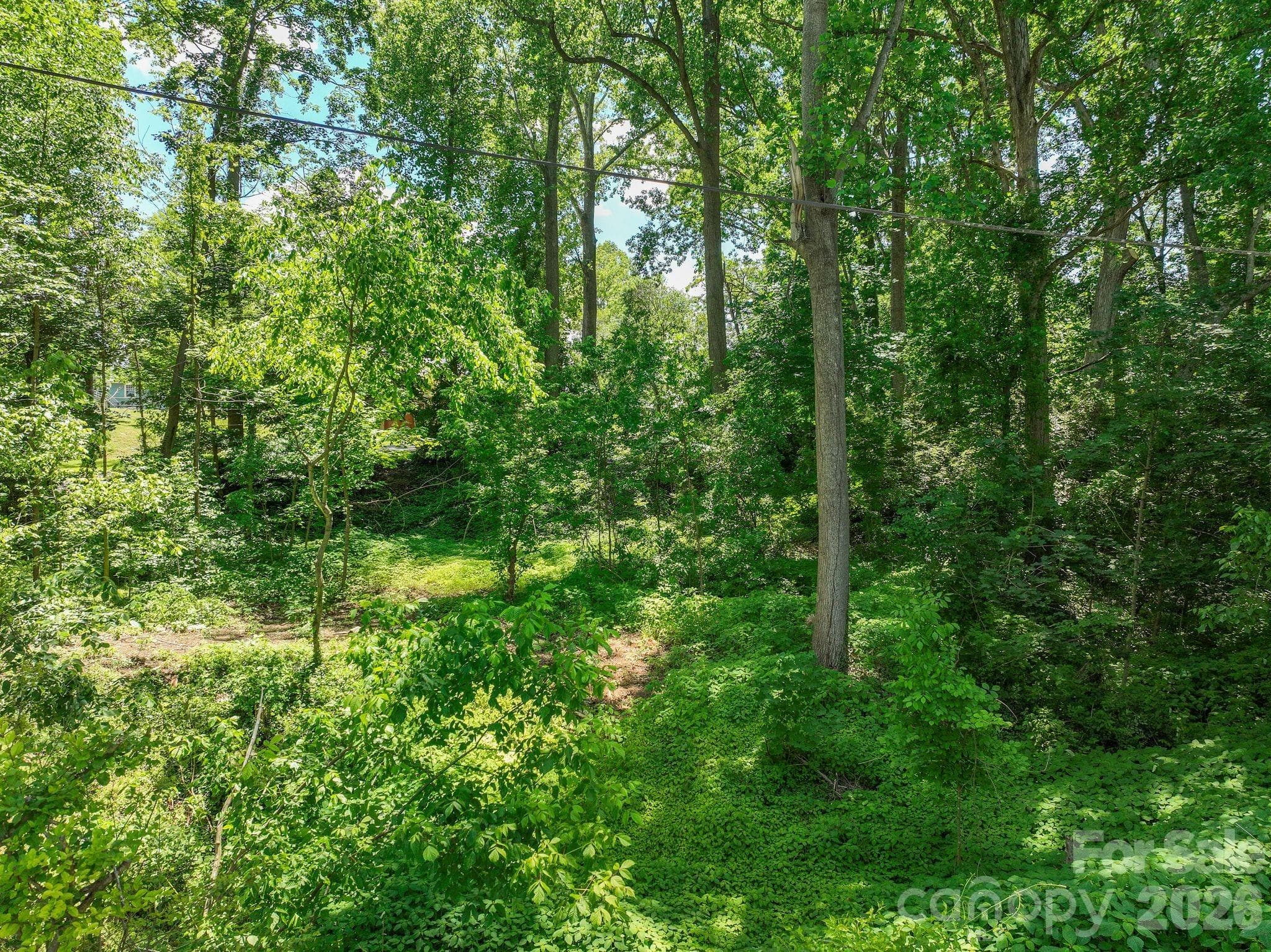Lot at Asheville, photo 4 of 16