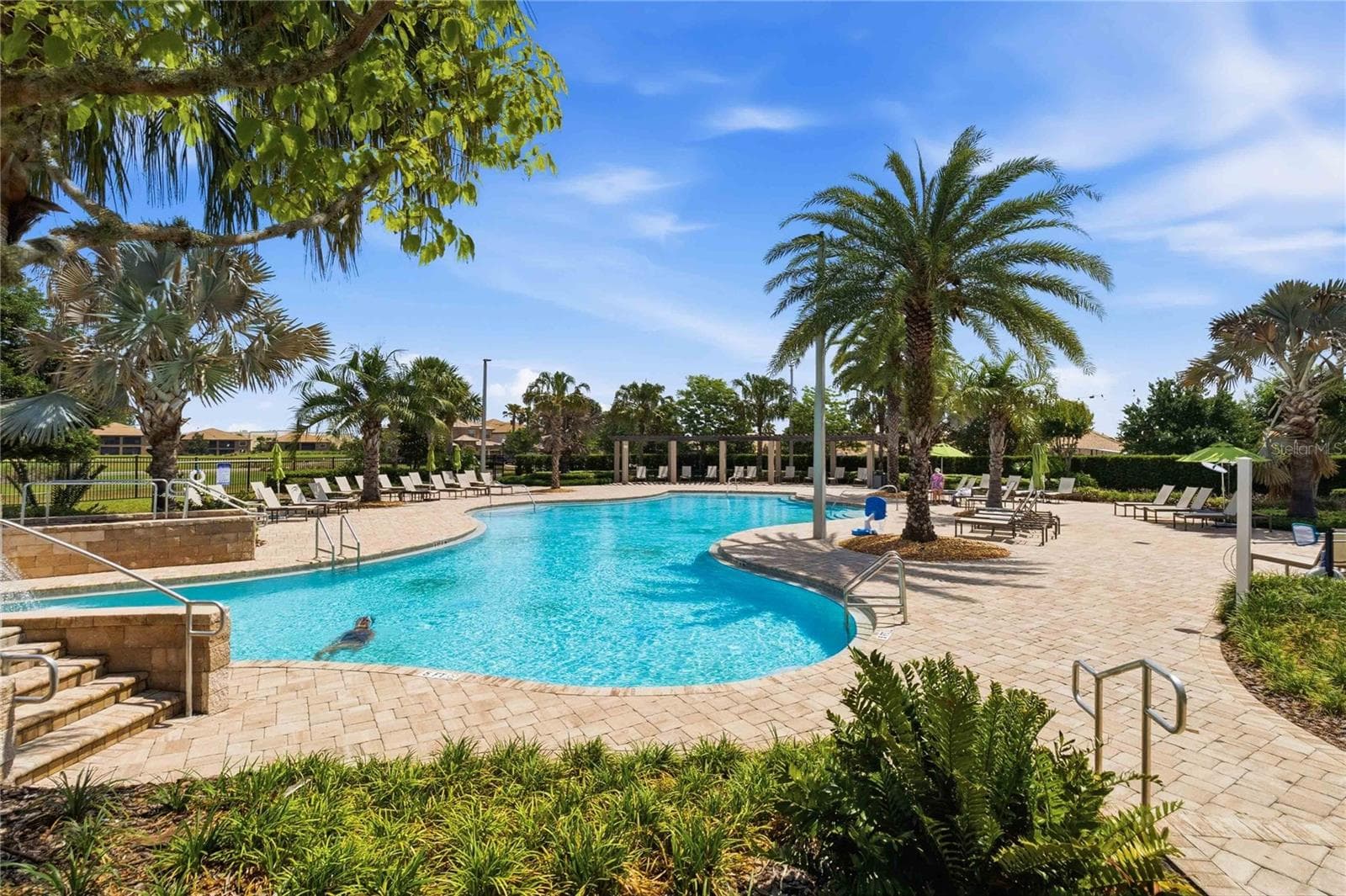 community pool - 1361 OLYMPIC CLUB BLVD, CHAMPIONS GATE