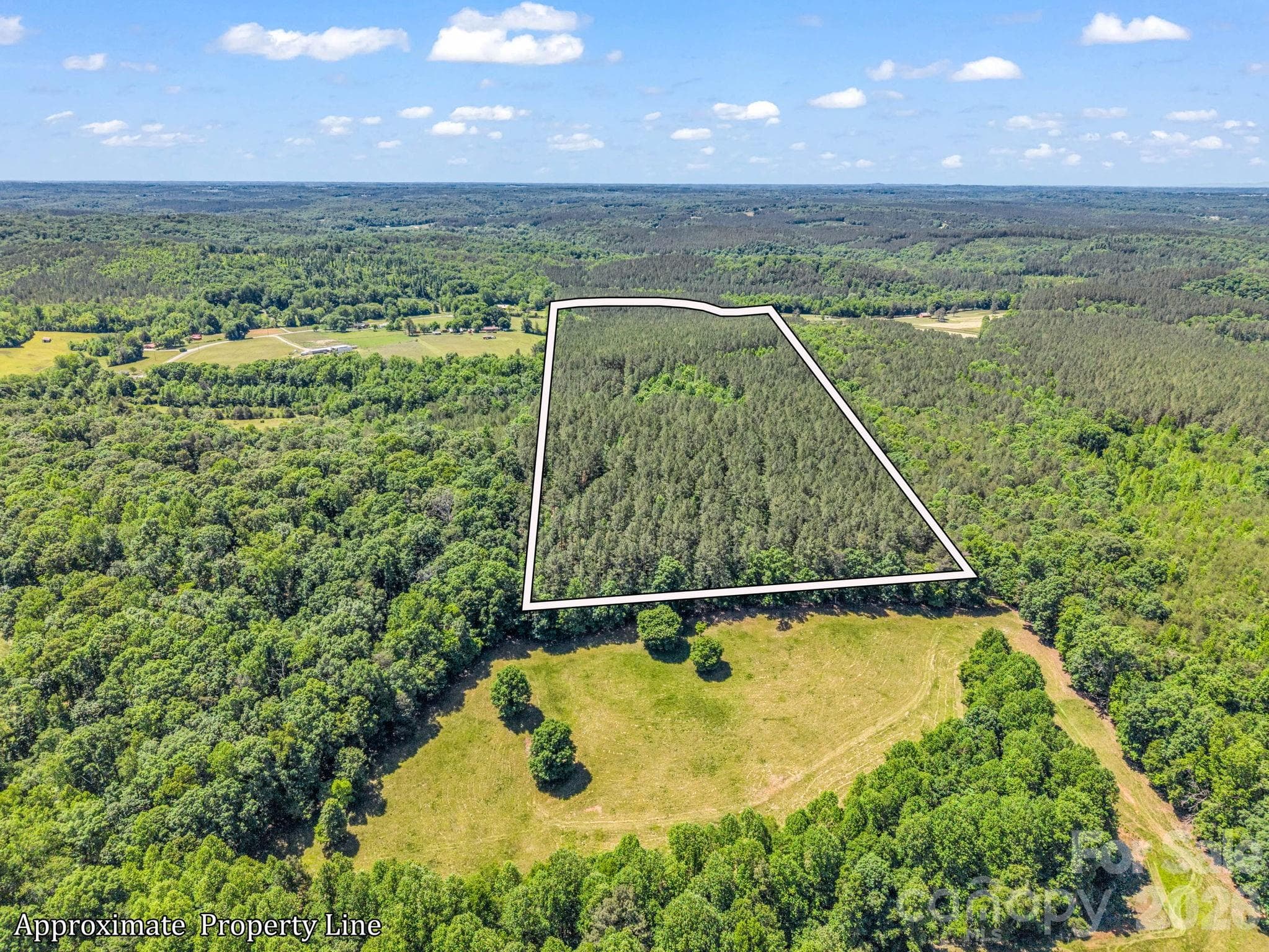 Acreage at Rutherfordton, photo 5 of 39