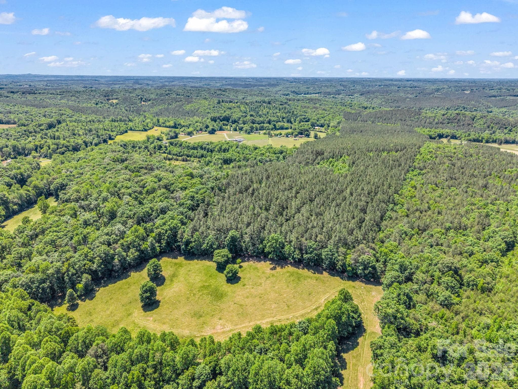 Acreage at Rutherfordton, photo 14 of 39