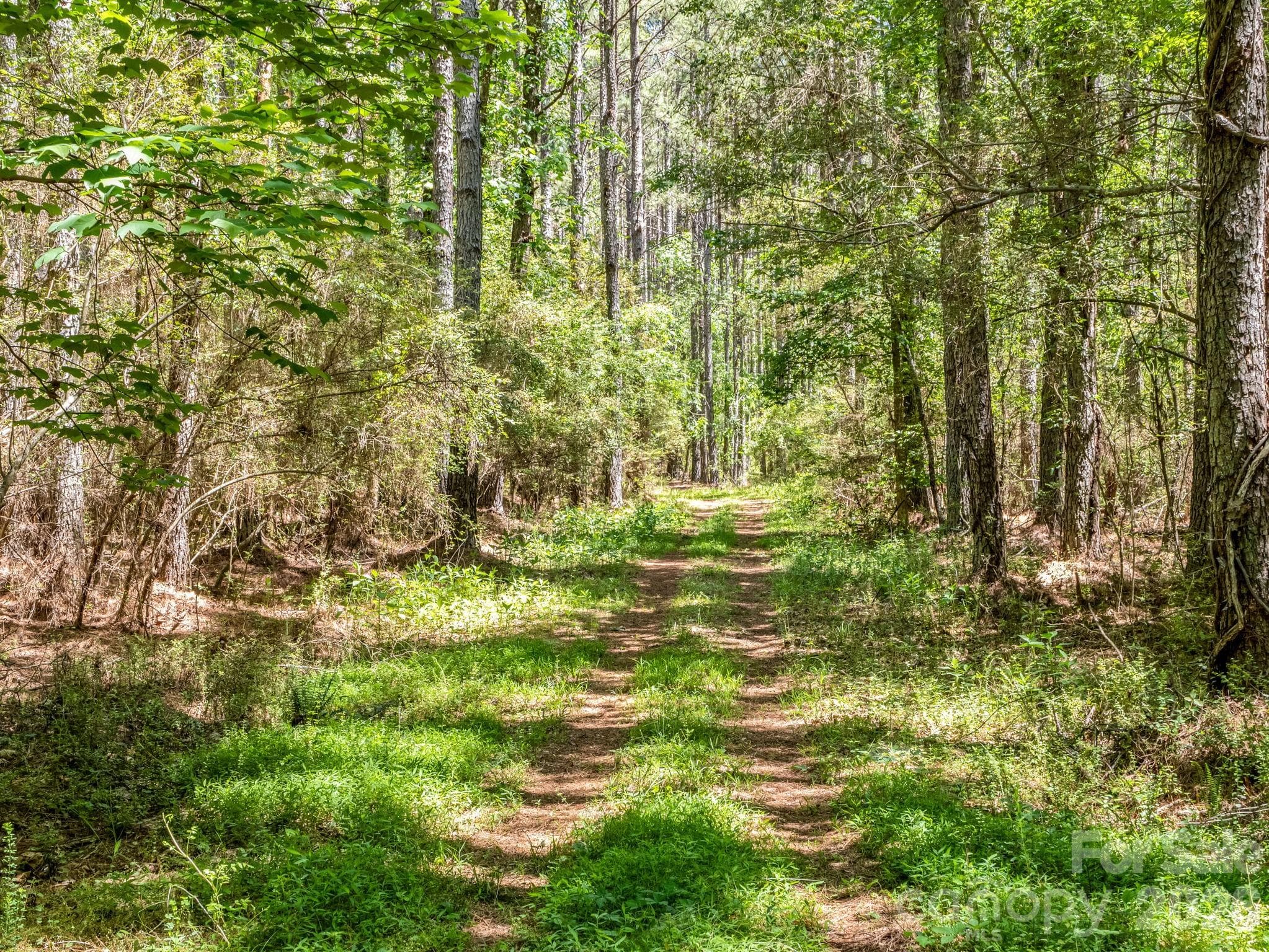 Acreage at Rutherfordton, photo 23 of 39