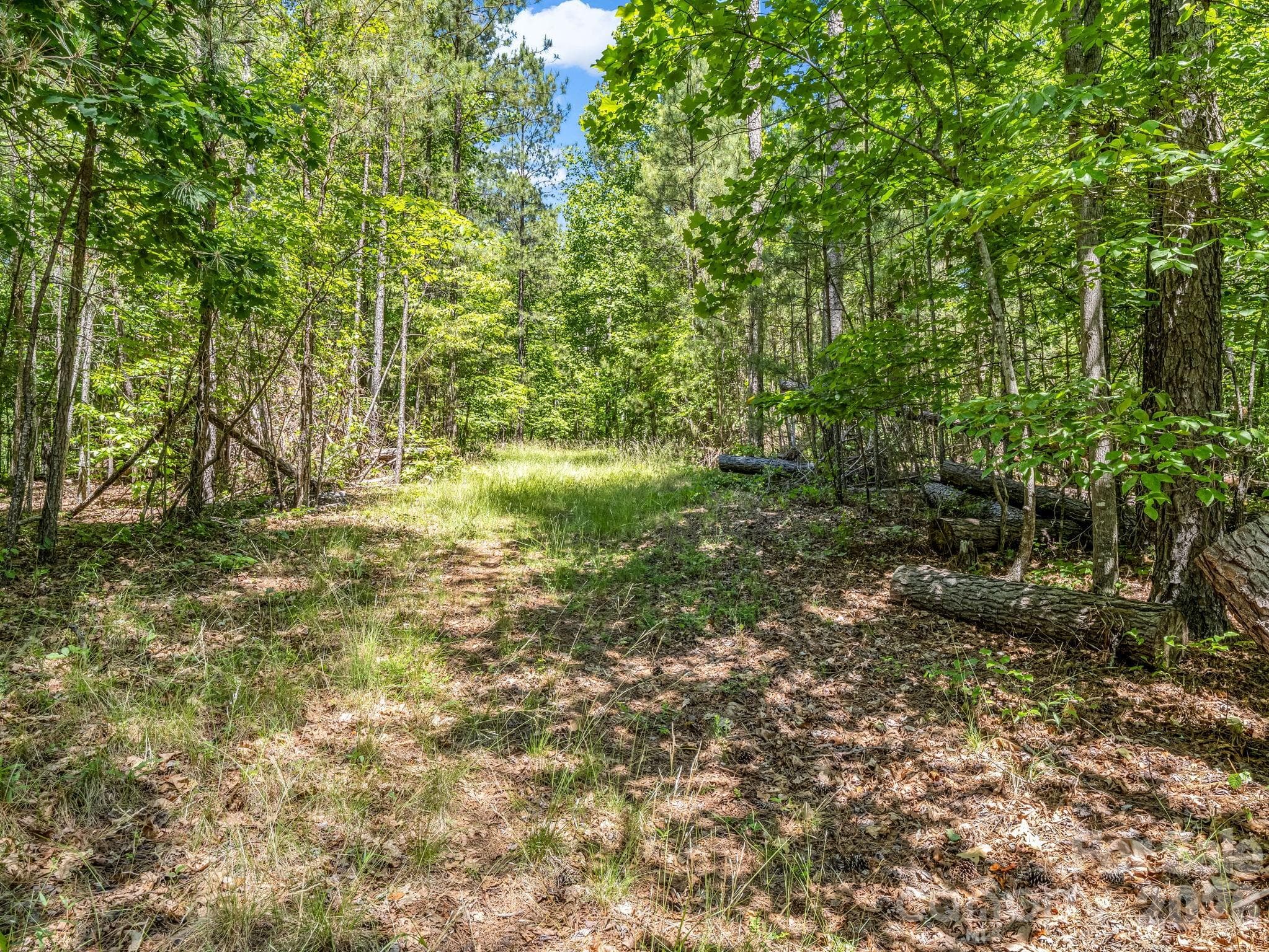 Acreage at Rutherfordton, photo 32 of 39