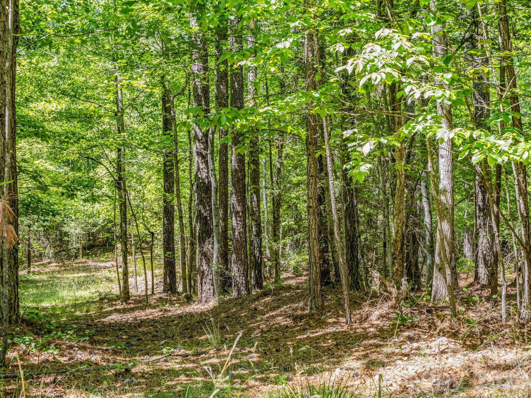 Acreage at Rutherfordton, photo 35 of 39