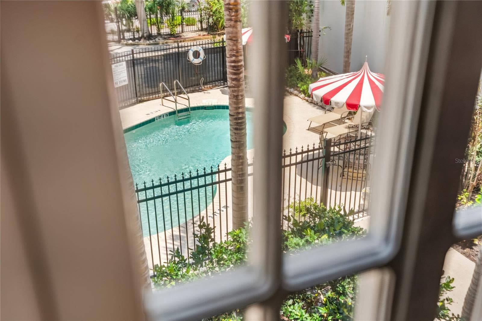 Unit 202 overlooks the pool - 1221 N PALM AVE #202, SARASOTA