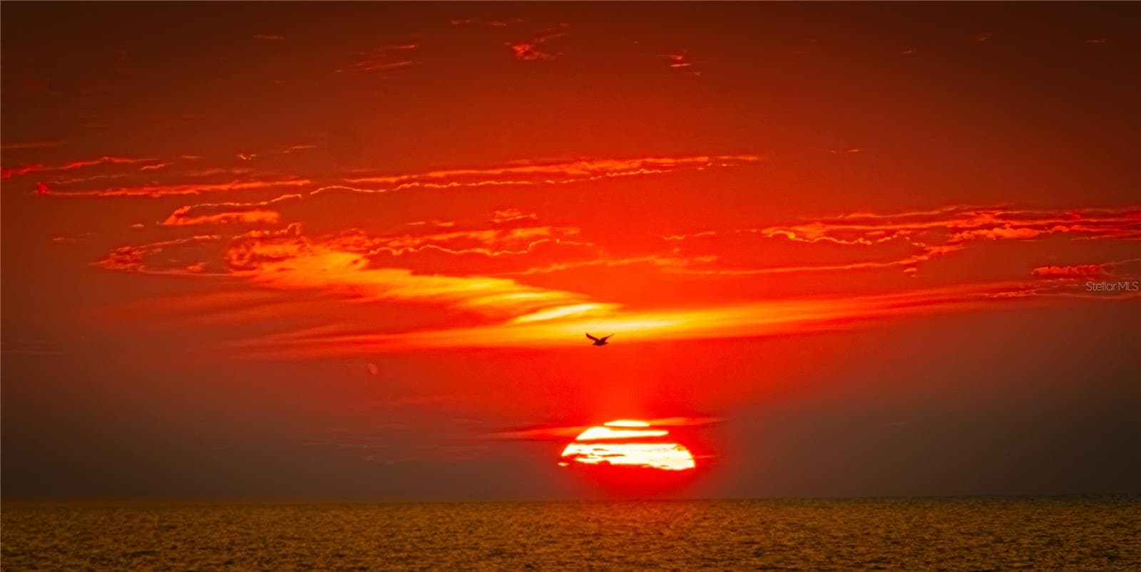 Photo courtesy of George Wolff - 7000 BEACH PLZ #202, ST PETE BEACH
