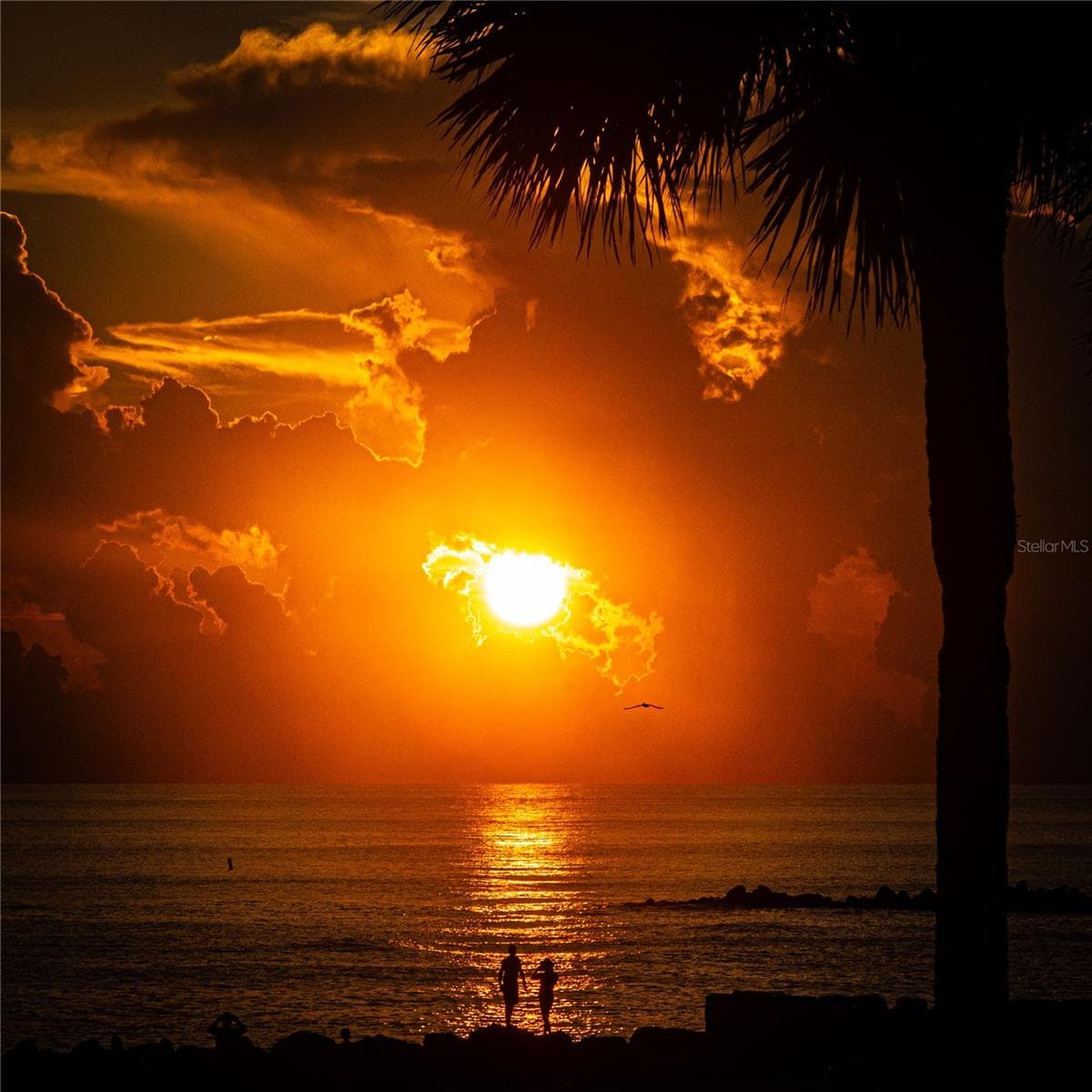 Photo courtesy of George Wolff - 7000 BEACH PLZ #202, ST PETE BEACH