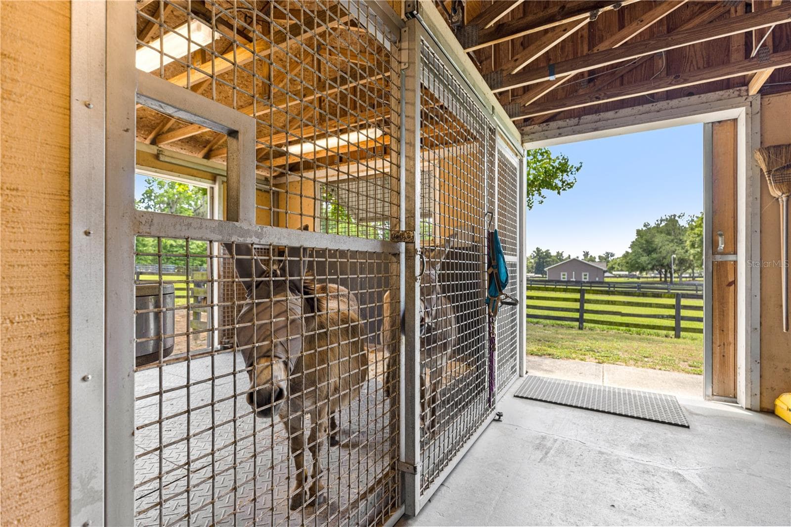 LARGE DOUBLE DOOR STALLS - 9041 SW 14TH AVE, OCALA