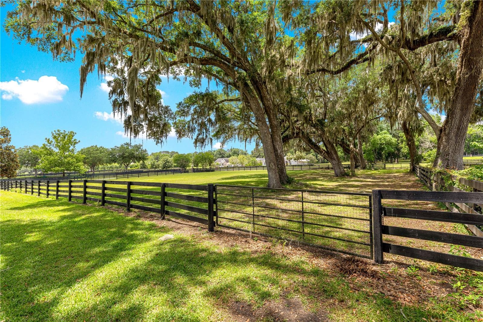 Single Family Residence at 9041 SW 14TH AVE, OCALA, photo 64 of 82