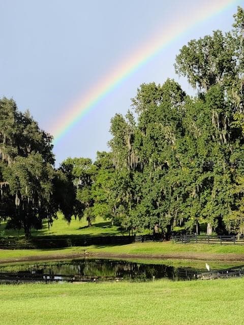 POND - 9041 SW 14TH AVE, OCALA