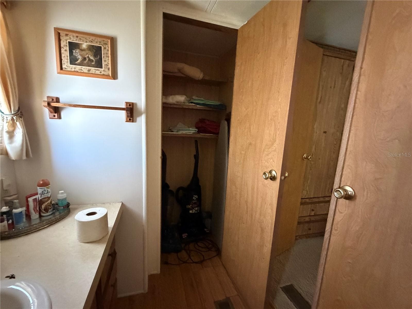 Storage in primary bathroom - 13440 PALM DR #7, ASTATULA