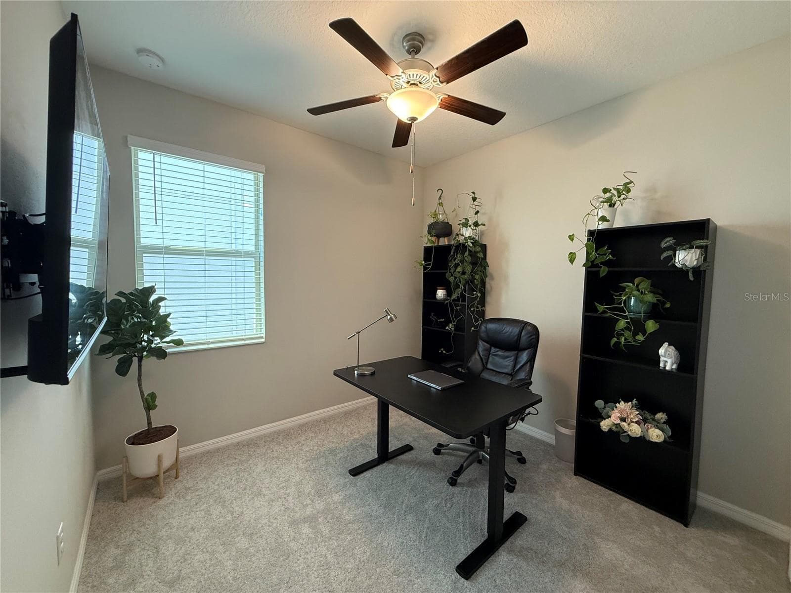 Third bedroom - 9601 FLOURISH DR, LAND O LAKES